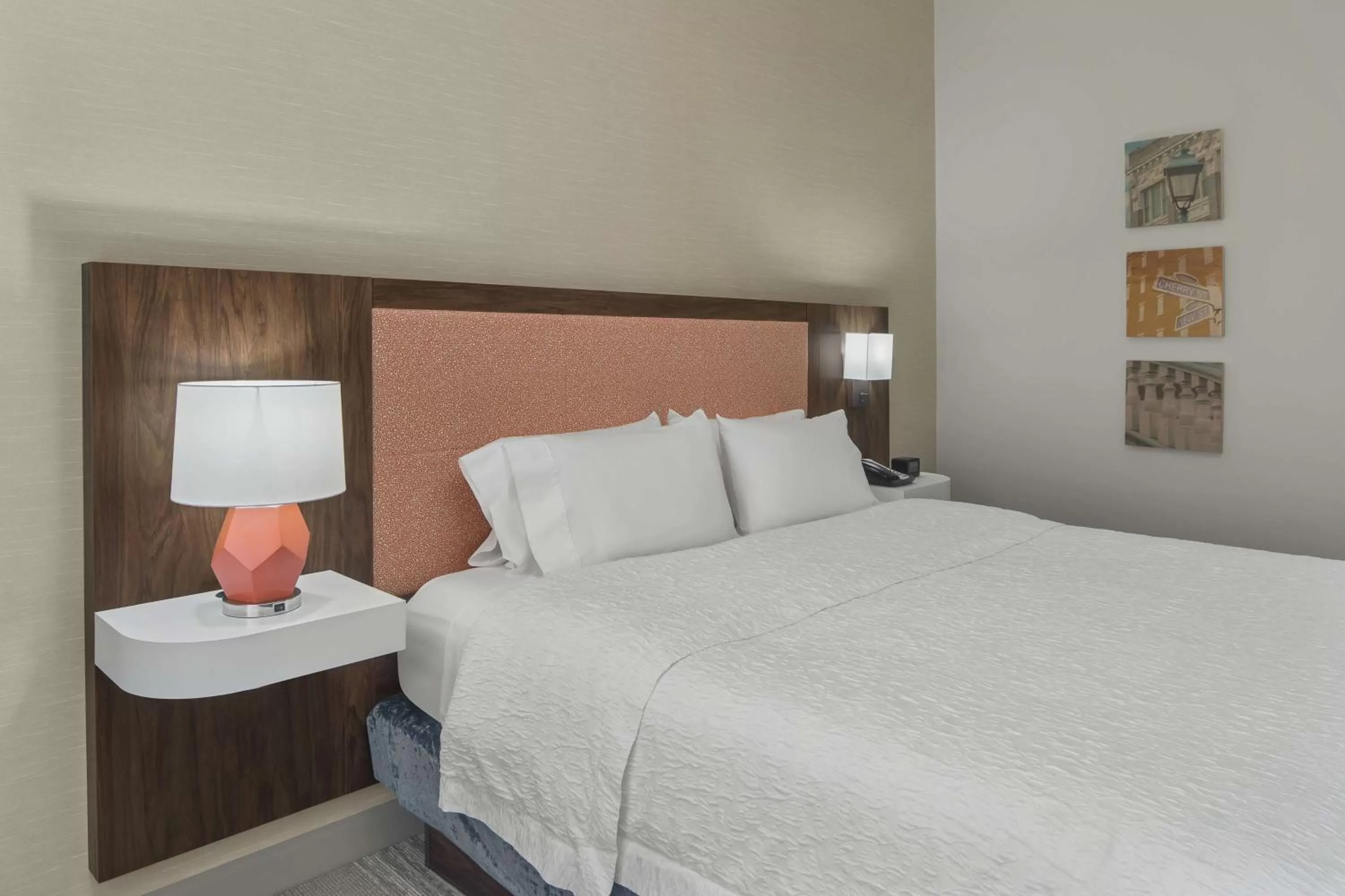 King Room with King Bed - Non-Smoking in Hampton Inn & Suites Macon I-75 North