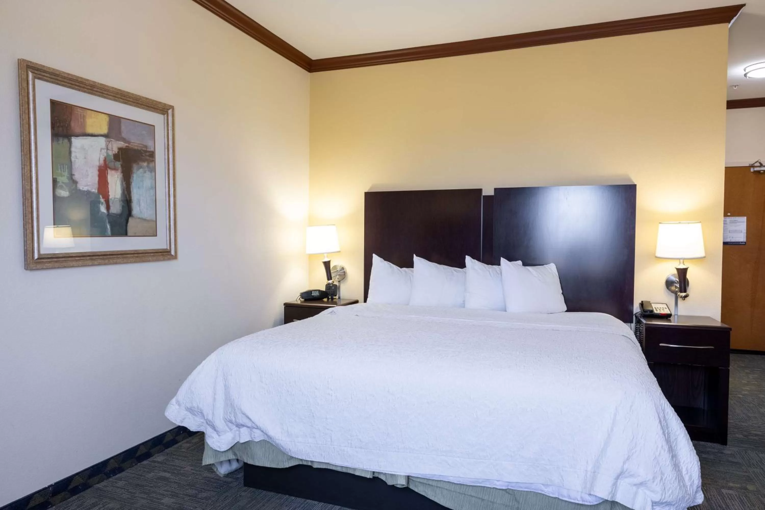 King Room with King Bed - Non-Smoking in Hampton Inn Alice