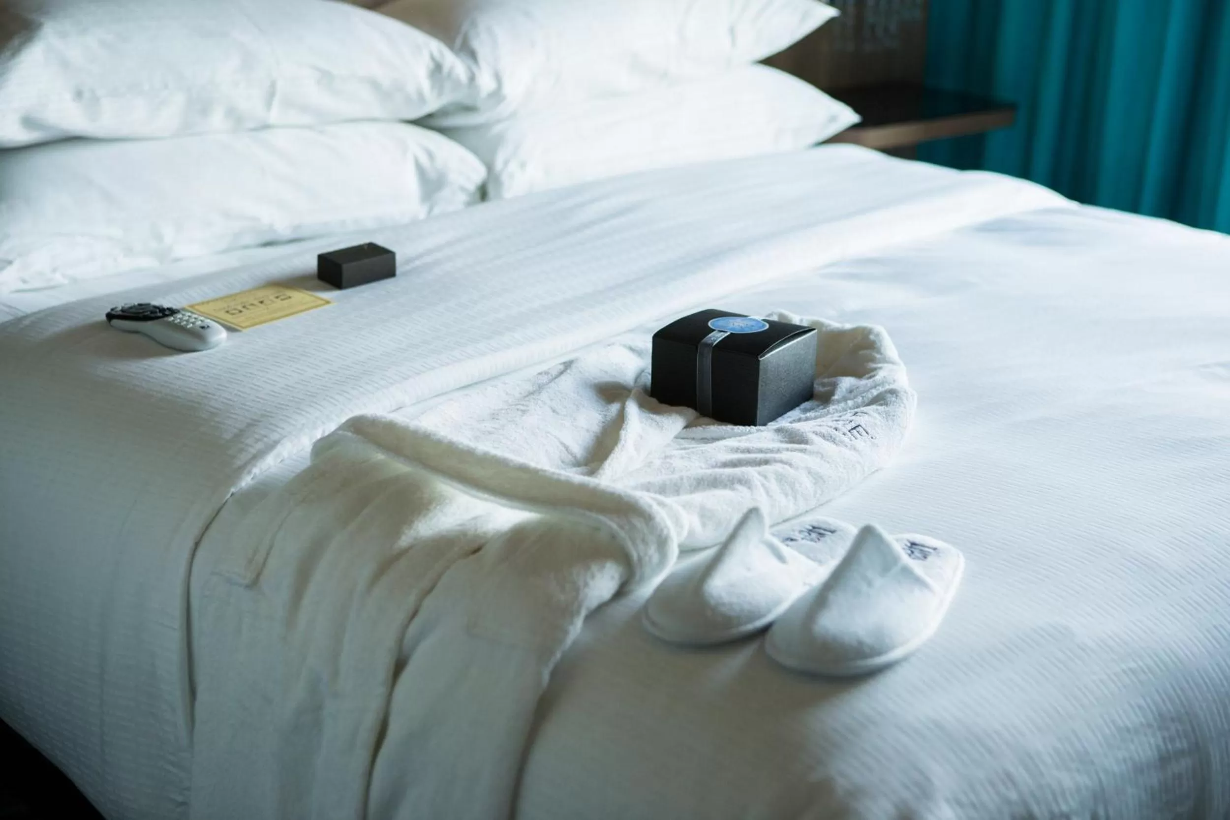 Double Room with Two Double Beds in Hotel Nyack, a JdV by Hyatt Hotel