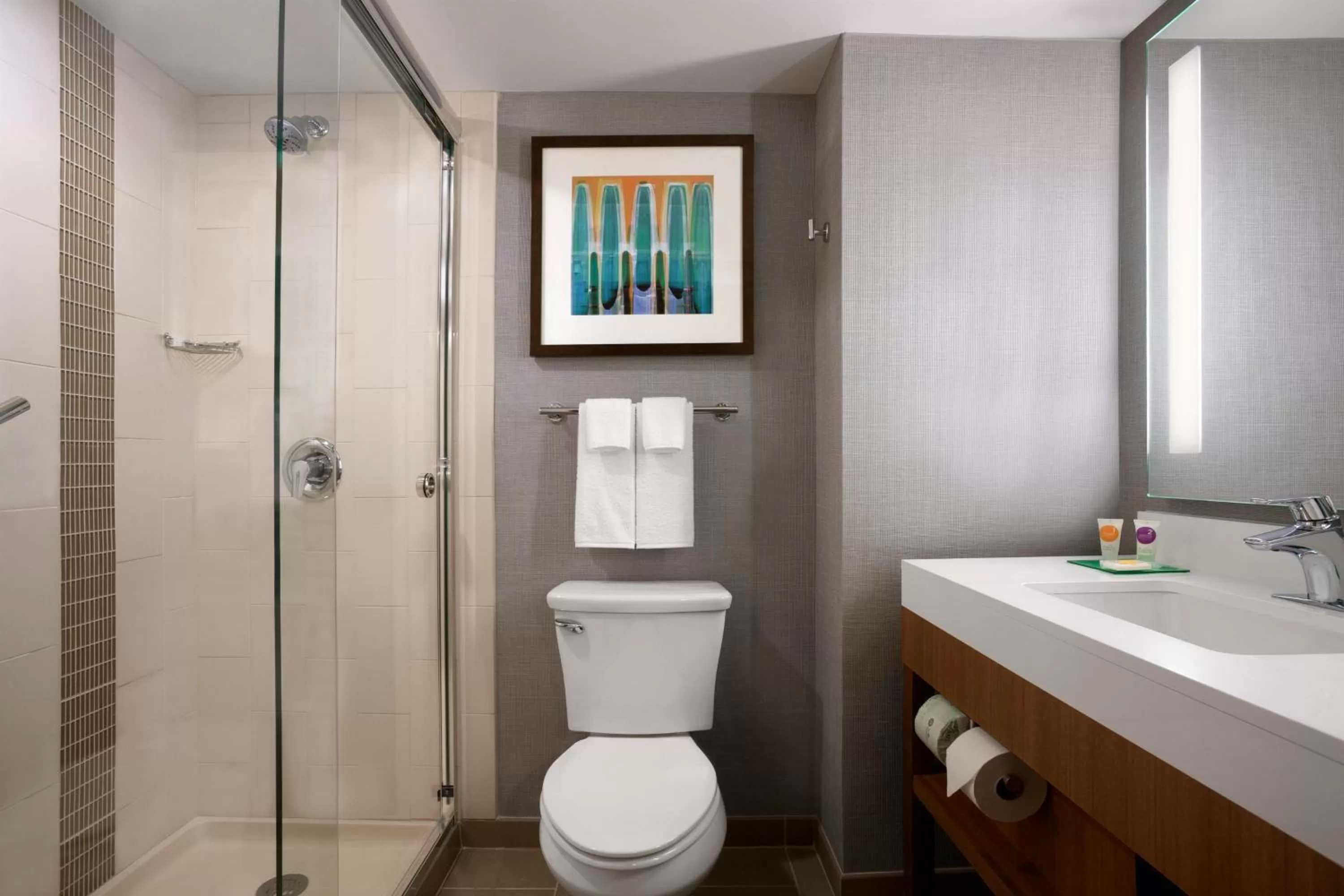 King Suite with Roll-In Shower - Disability Access in Hyatt Place Minneapolis/Downtown