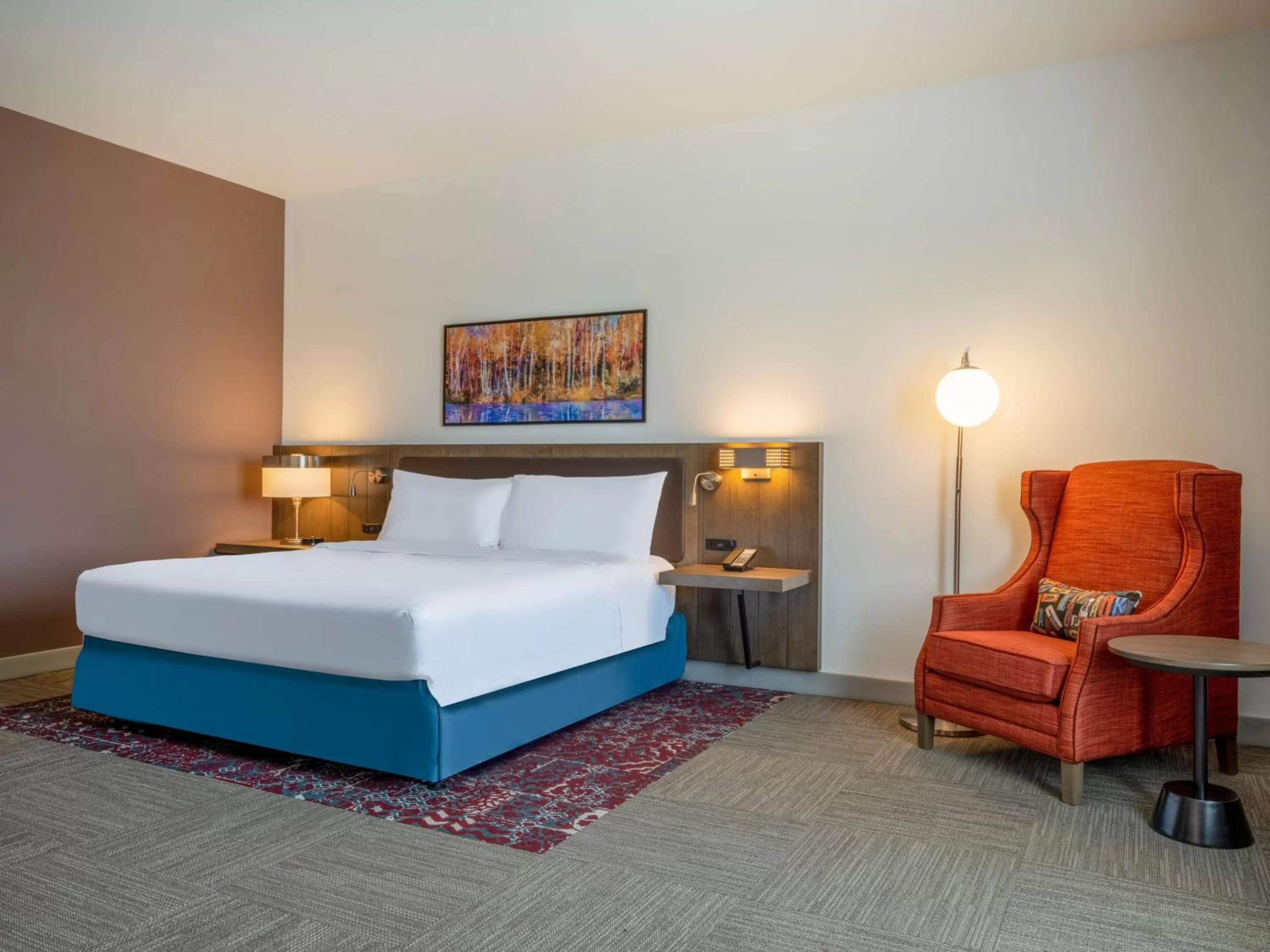 King Room with Bath Tub - Mobility Accessible in Hilton Garden Inn Jeffersonville, In