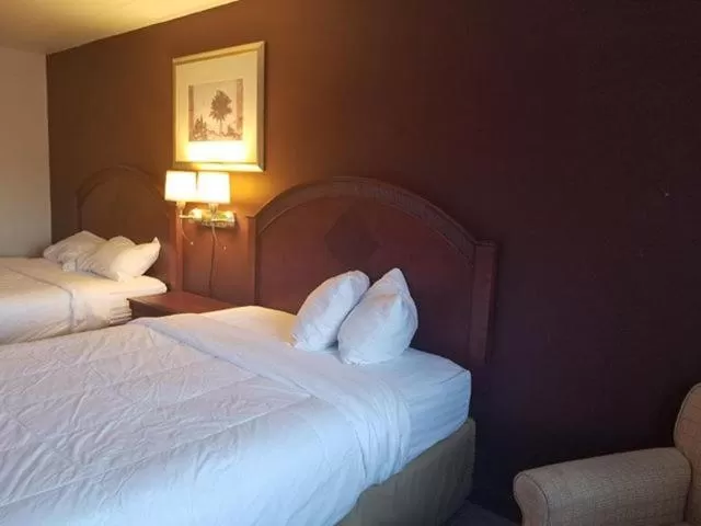 Double Room in Red Apple Inn