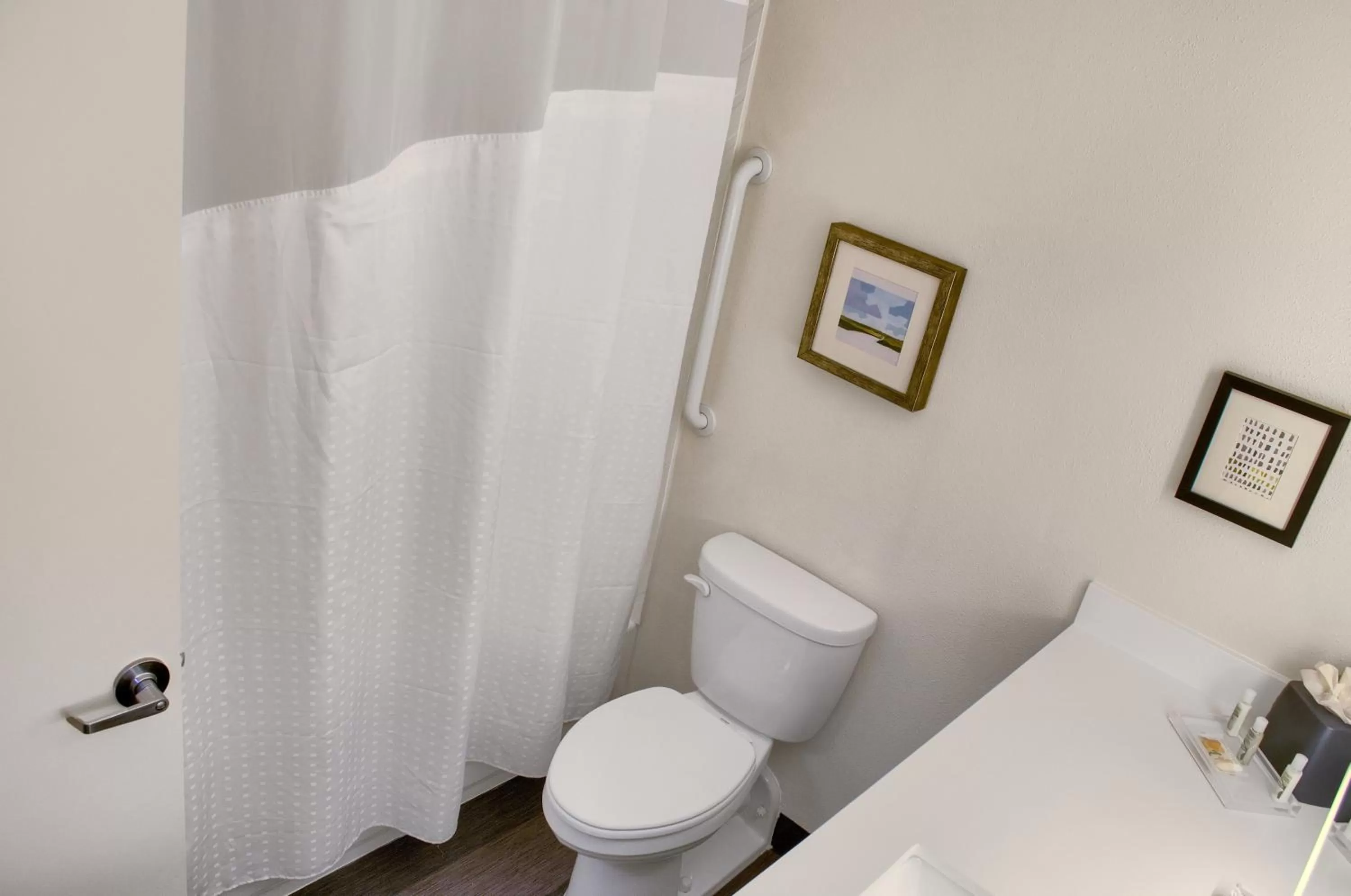 Suite - Mobility Access/Hearing Accessible in Holiday Inn Mobile West I-10 by IHG