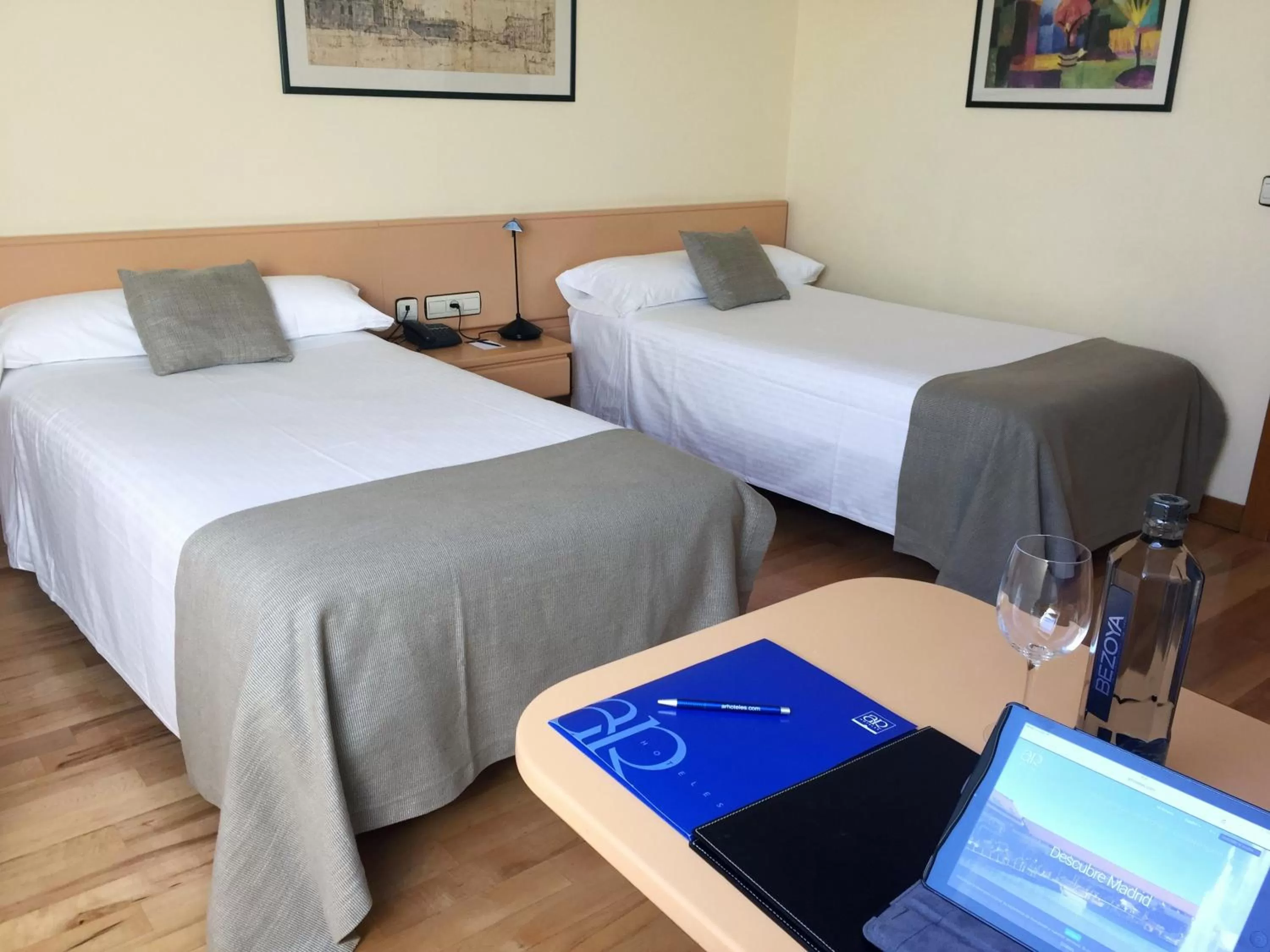 Twin Room Single Use in Parquesur