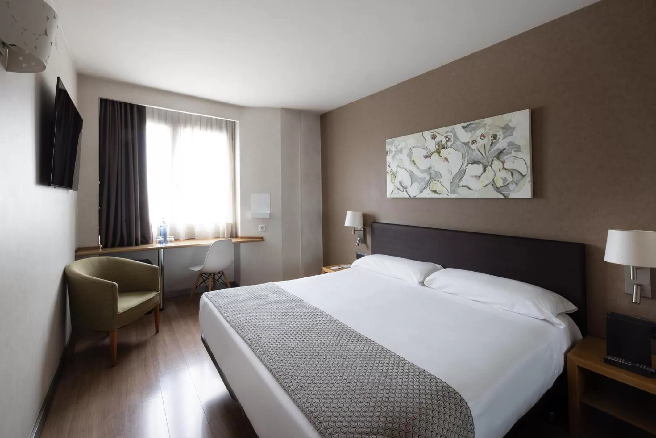 Double or Twin Room in Catalonia Albeniz