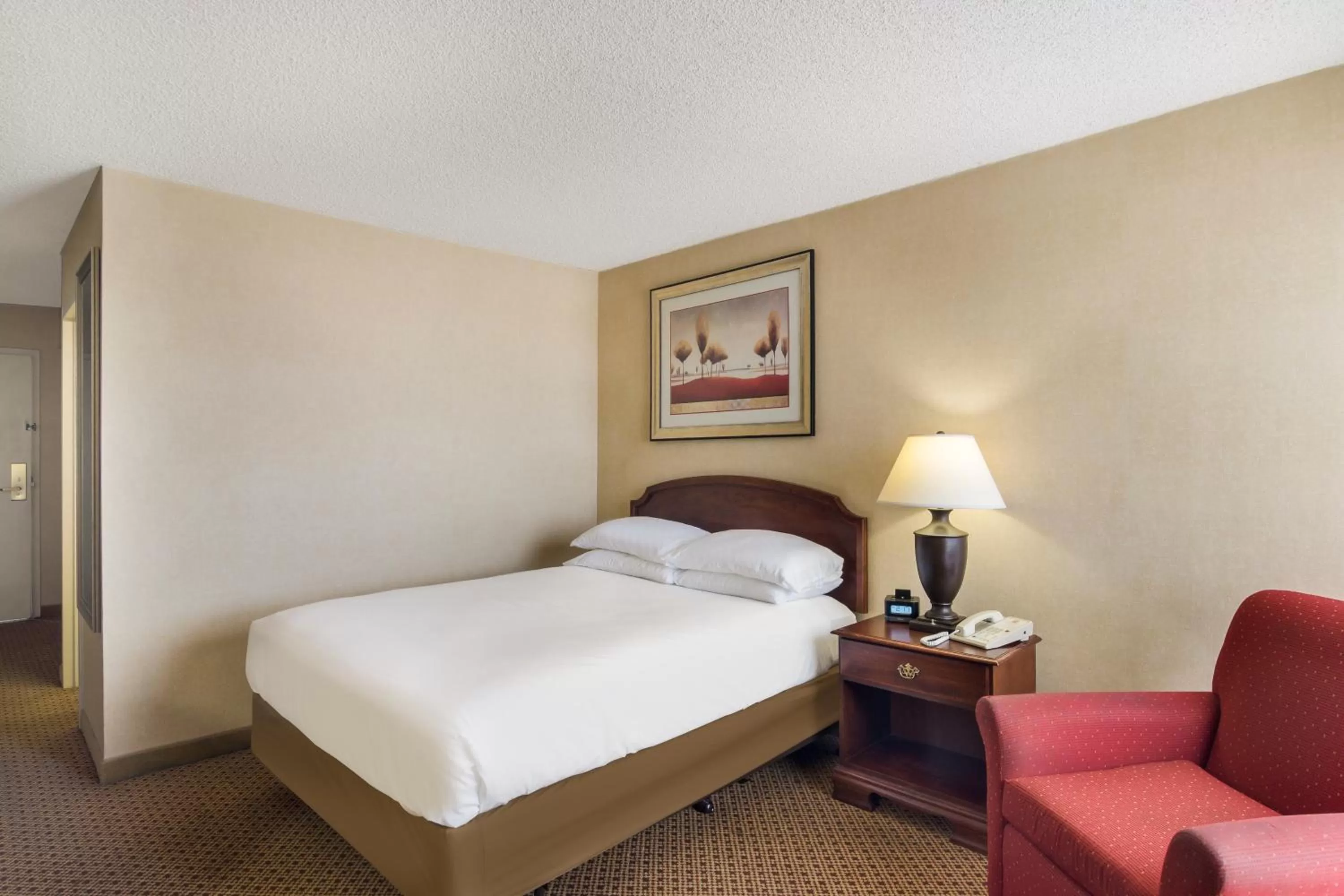 Standard Queen Room - Disability Access - Non-Smoking in Red Lion Hotel Cheyenne