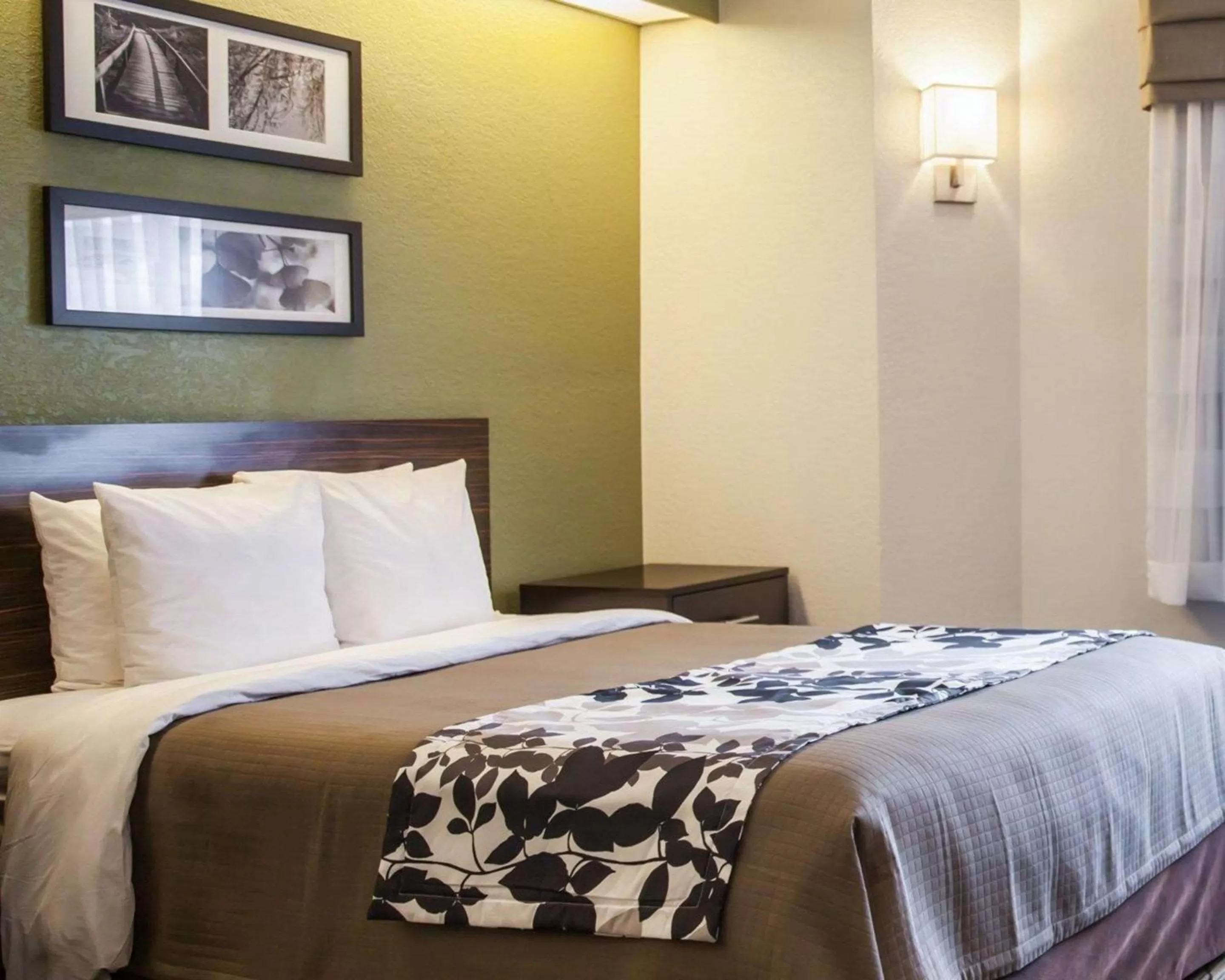 Queen Room - Accessible/Non-Smoking in Sleep Inn Rockville