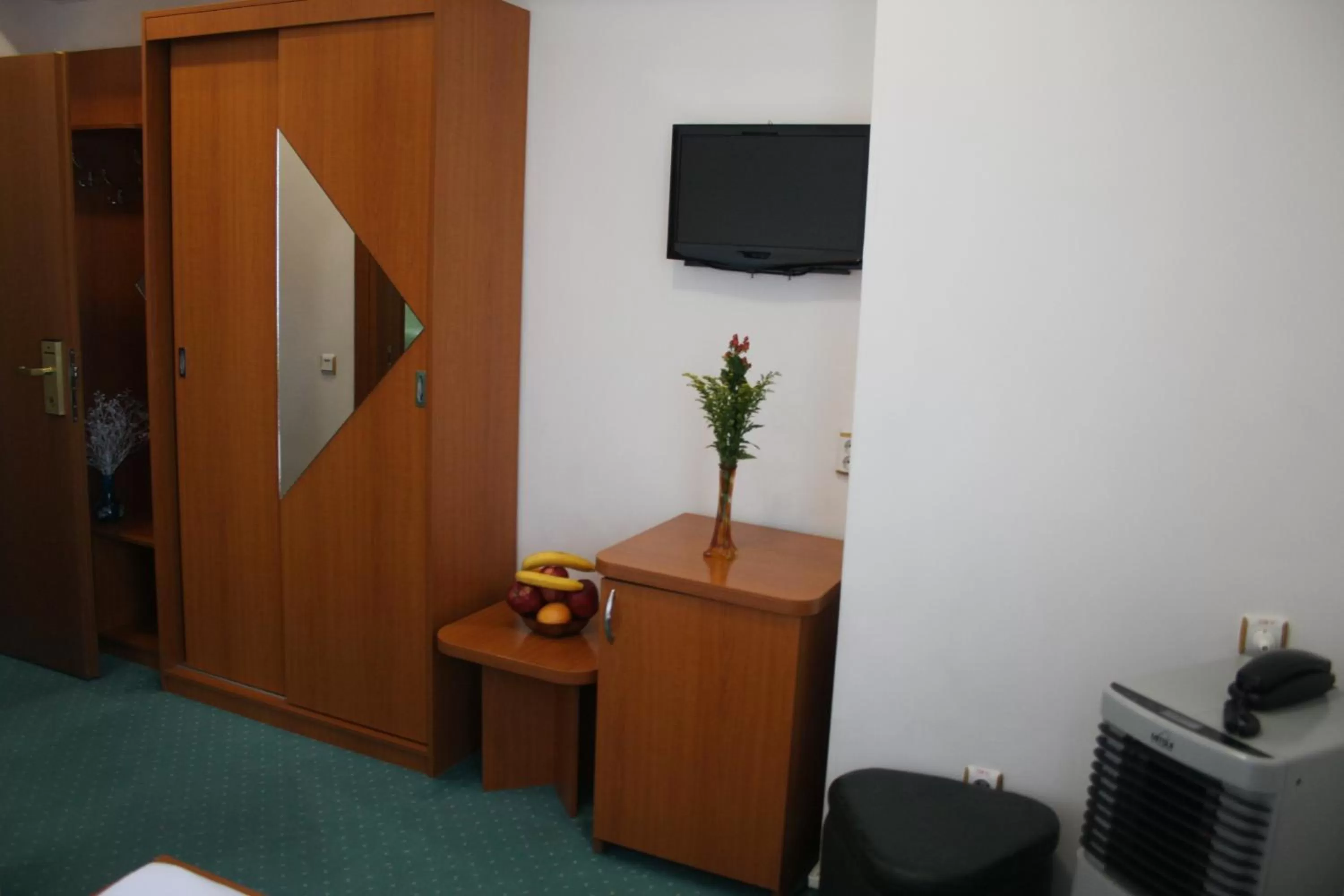 TV and multimedia in Hotel Sir Orhideea