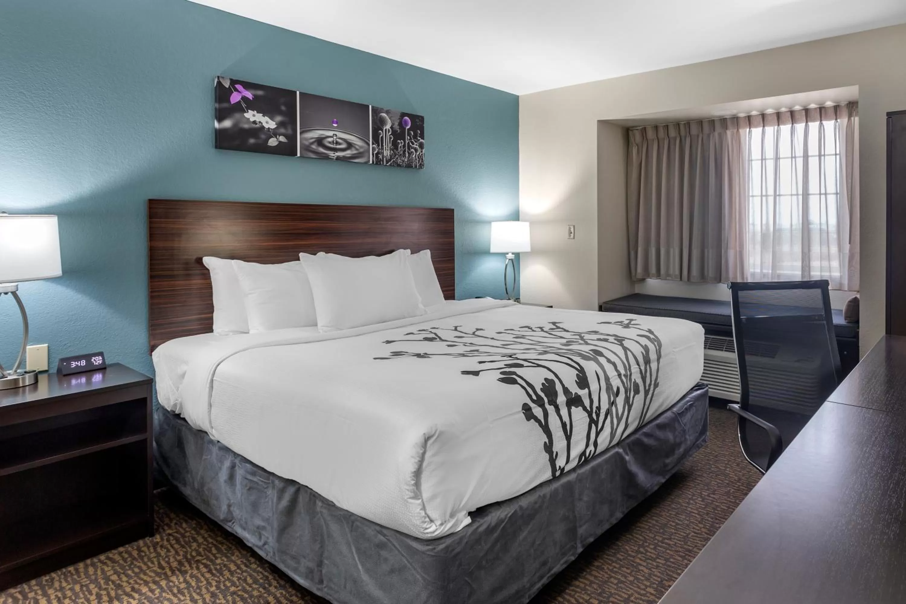 King Room - Accessible/Non-Smoking in Sleep Inn St Robert-Fort Leonard Wood