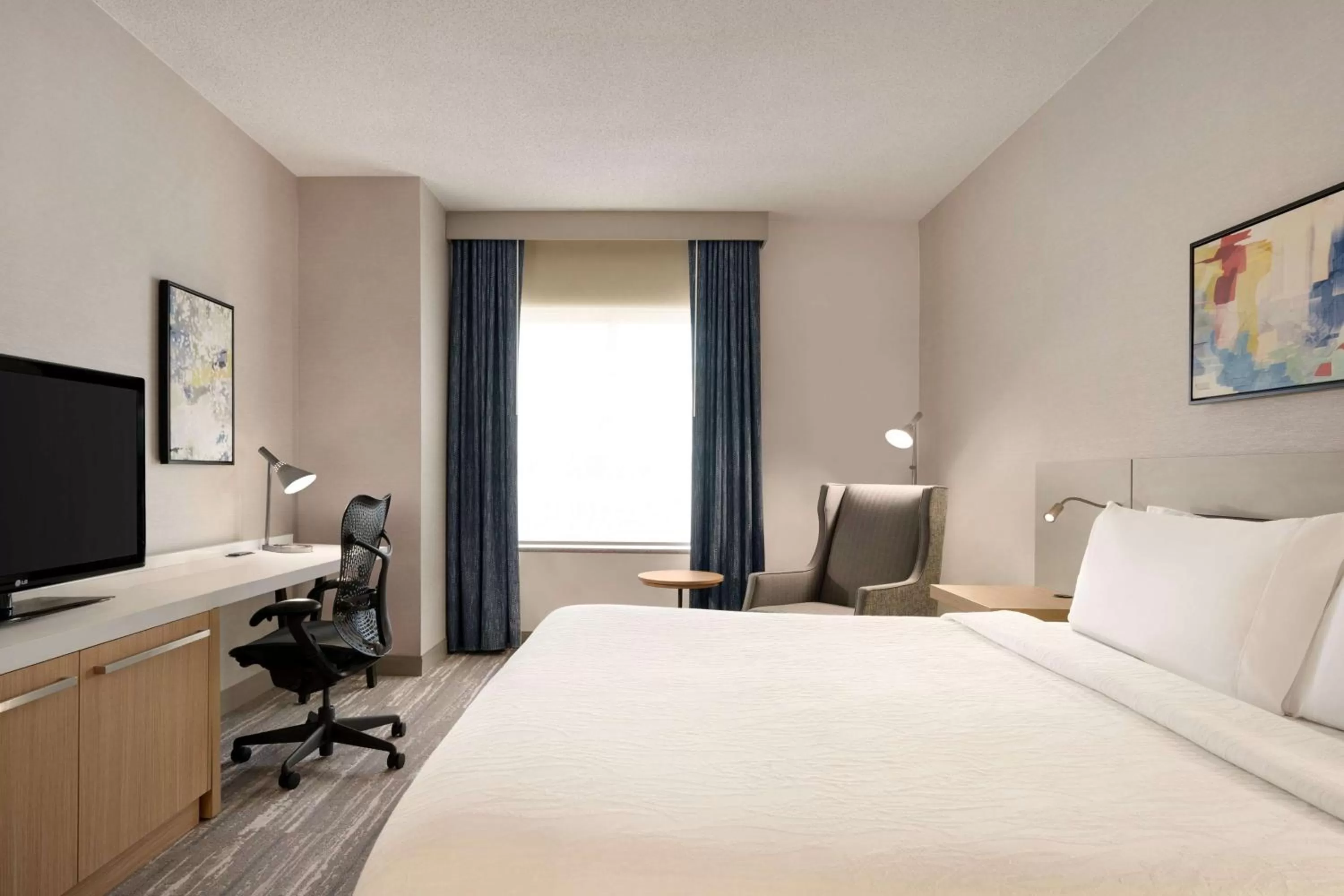 Premium King Room in Hilton Garden Inn Tysons Corner