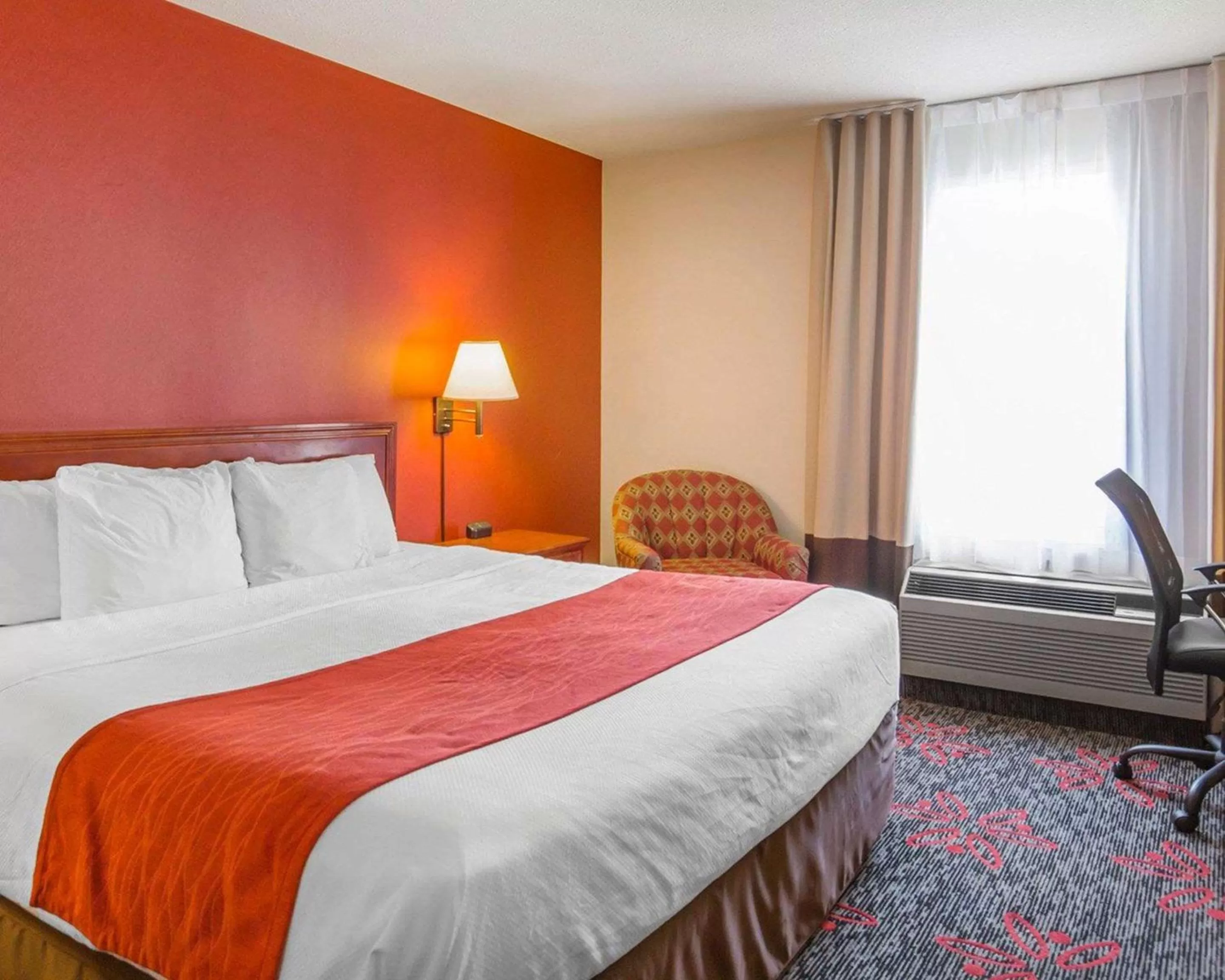 King Room in Comfort Inn & Suites University