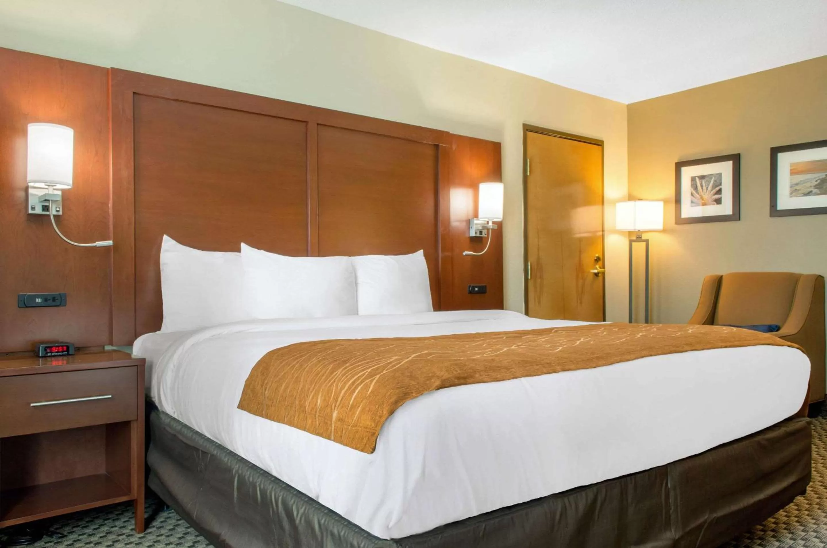 King Room - Accessible/Non-Smoking in Comfort Inn & Suites Biloxi-D'Iberville