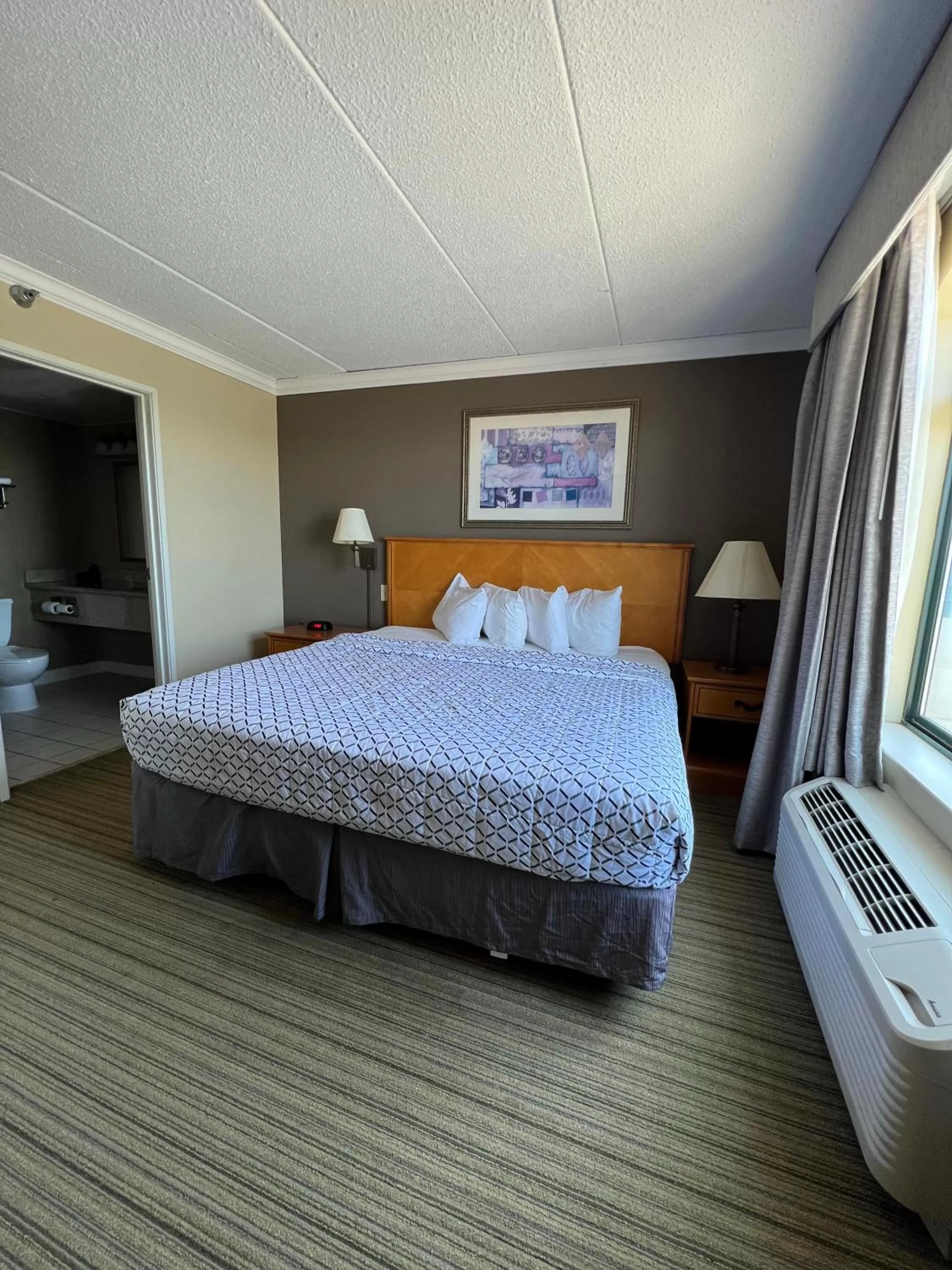 King Studio Suite - Non-Smoking in Wingate by Wyndham Coon Rapids