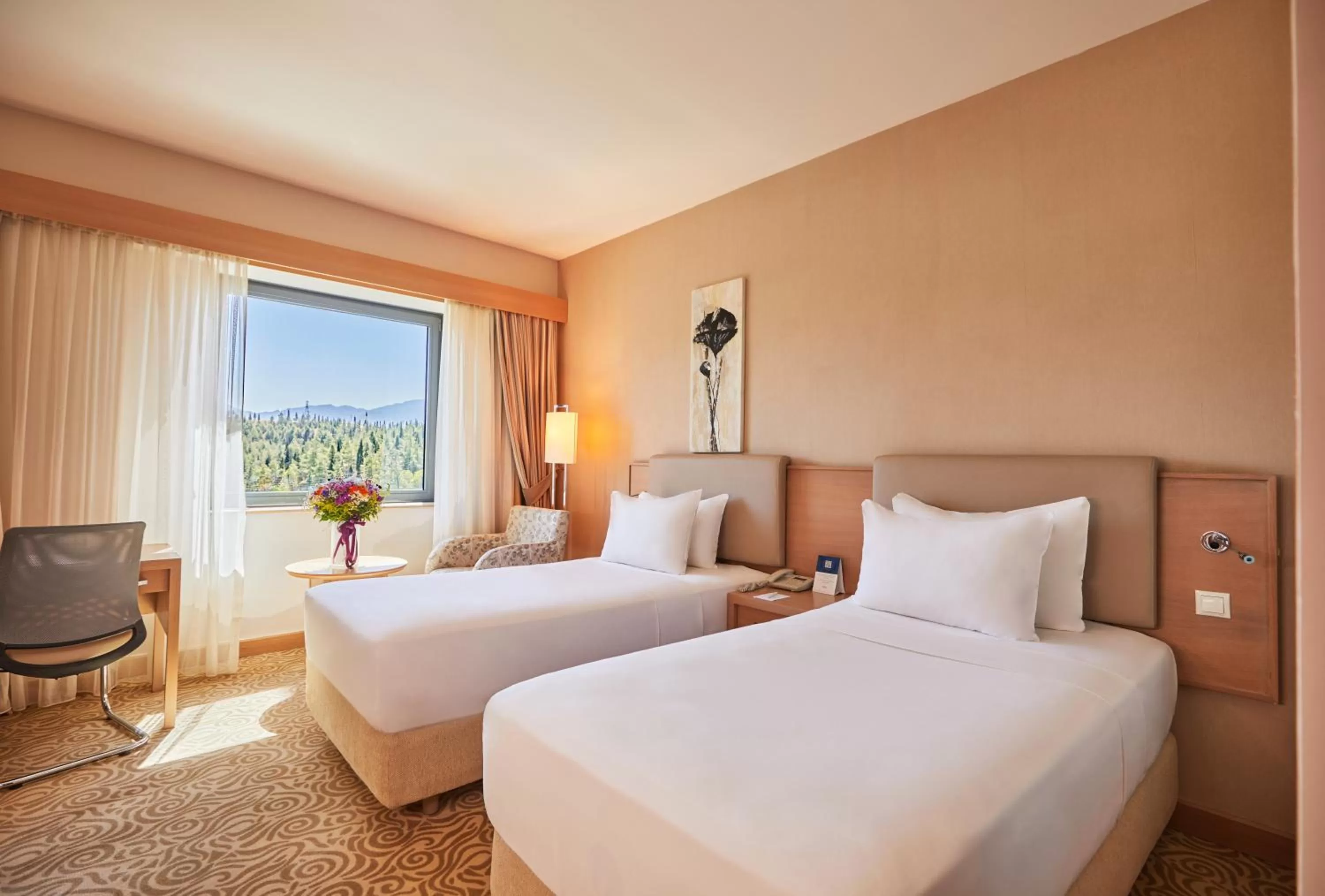 Superior Twin Room in Park Dedeman Denizli