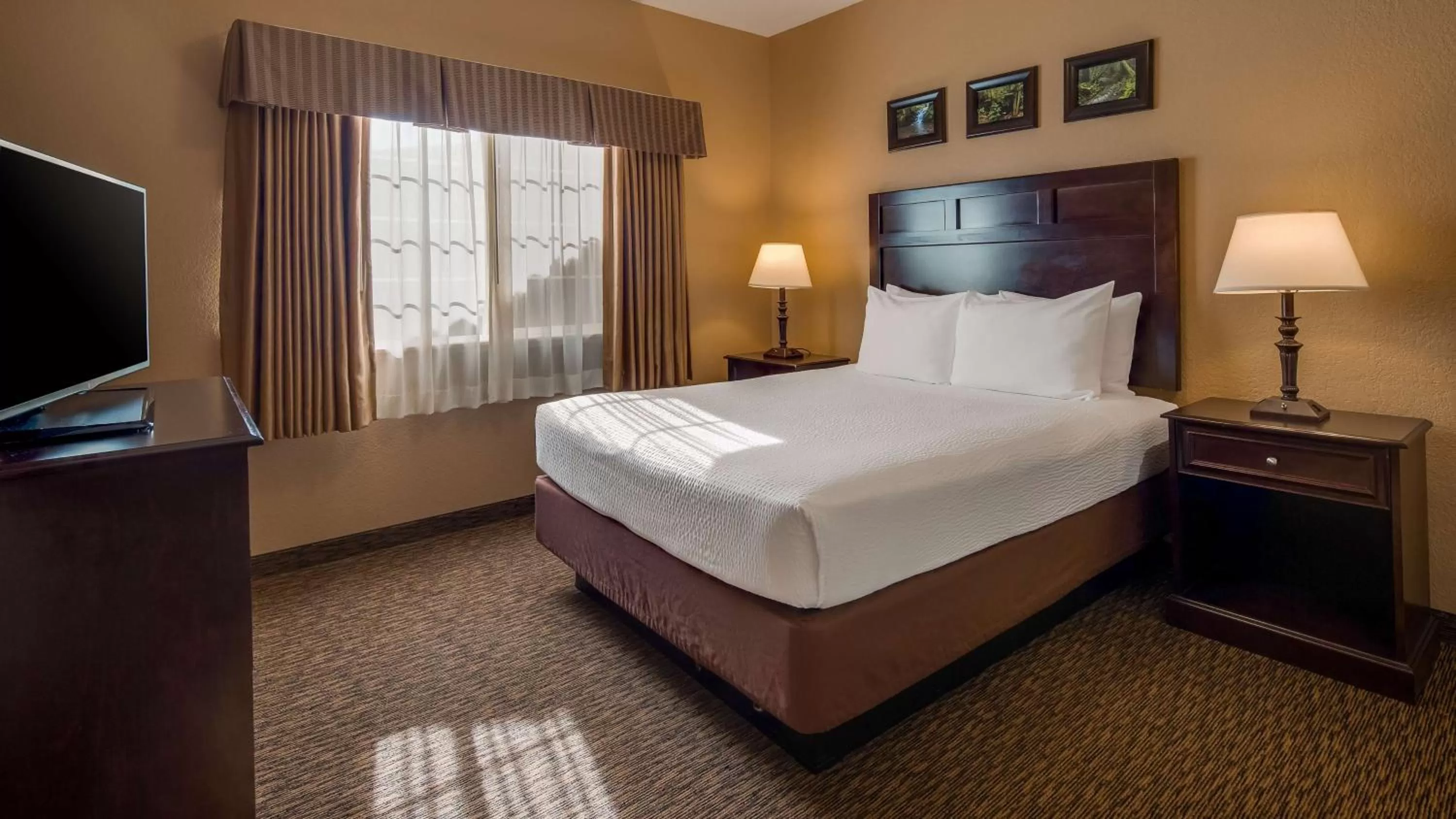 Queen Room with Roll-In Shower - Disability Access in Best Western Country Inn