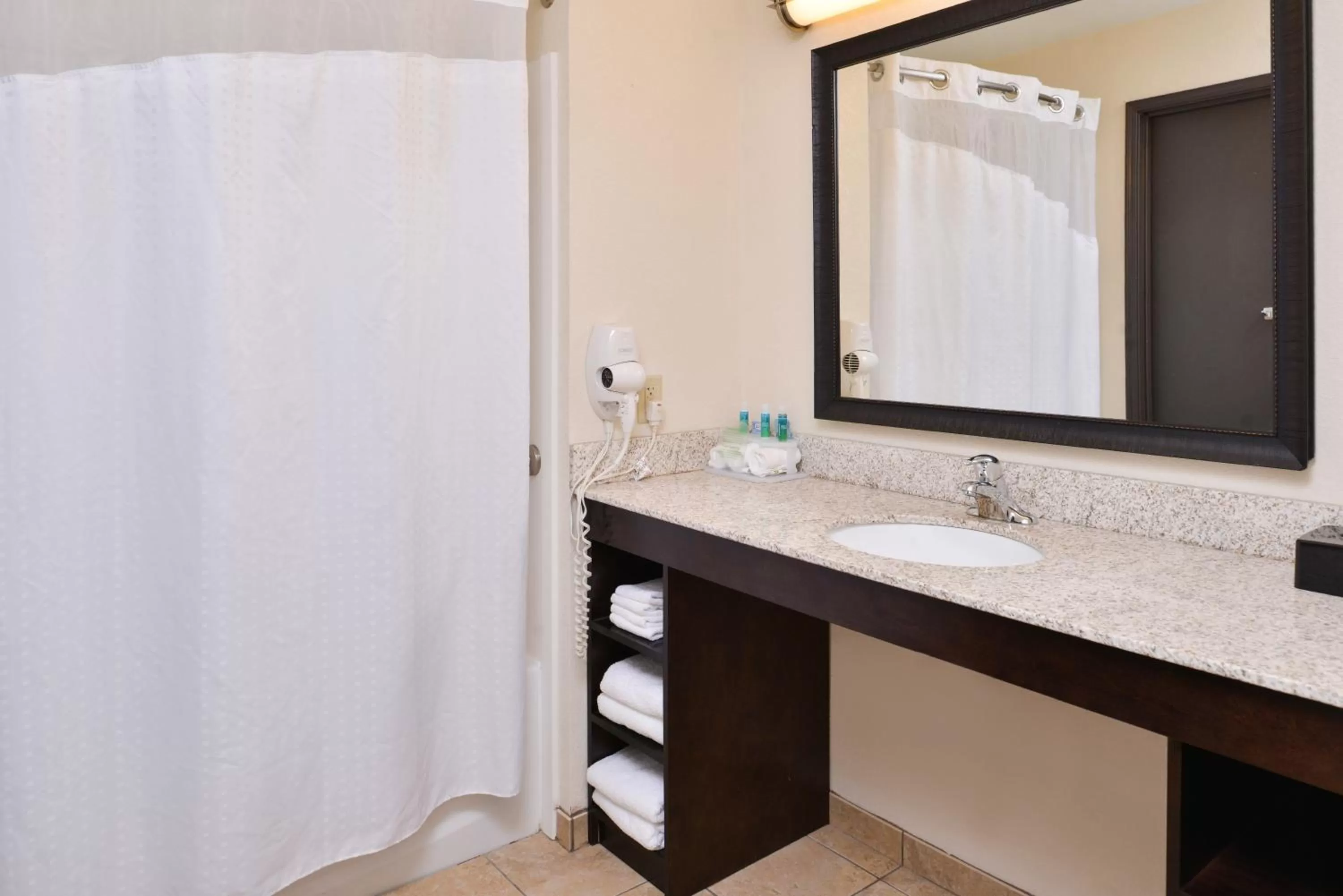 King Room with Roll-In Shower - Disability Access in Holiday Inn Express & Suites Emporia Northwest by IHG