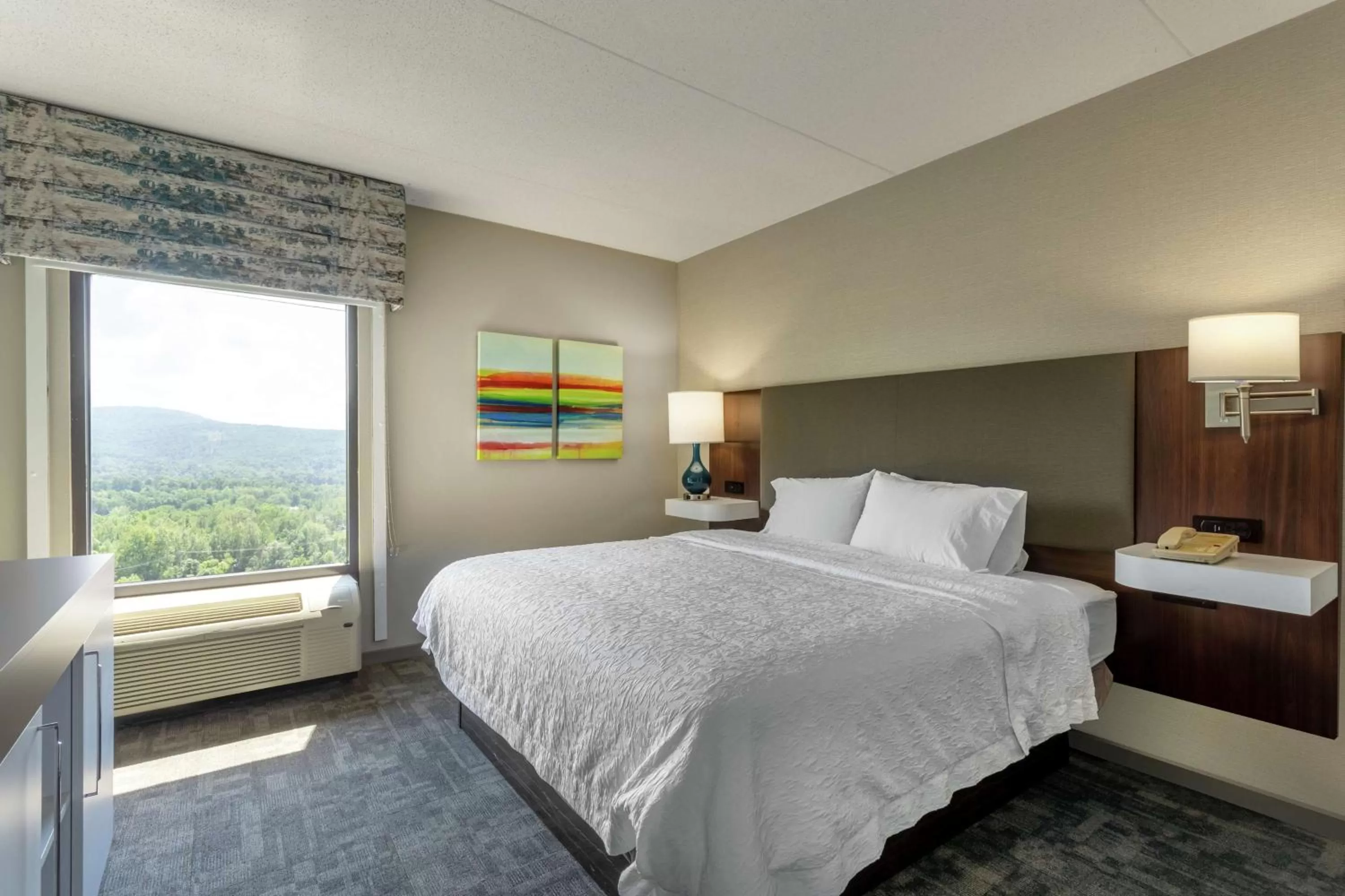 King Room in Hampton Inn Bedford