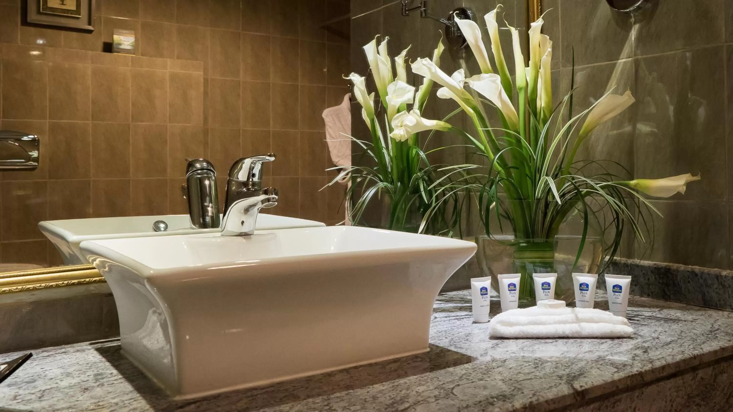 Deluxe Twin Suite in Best Western Plus Doha