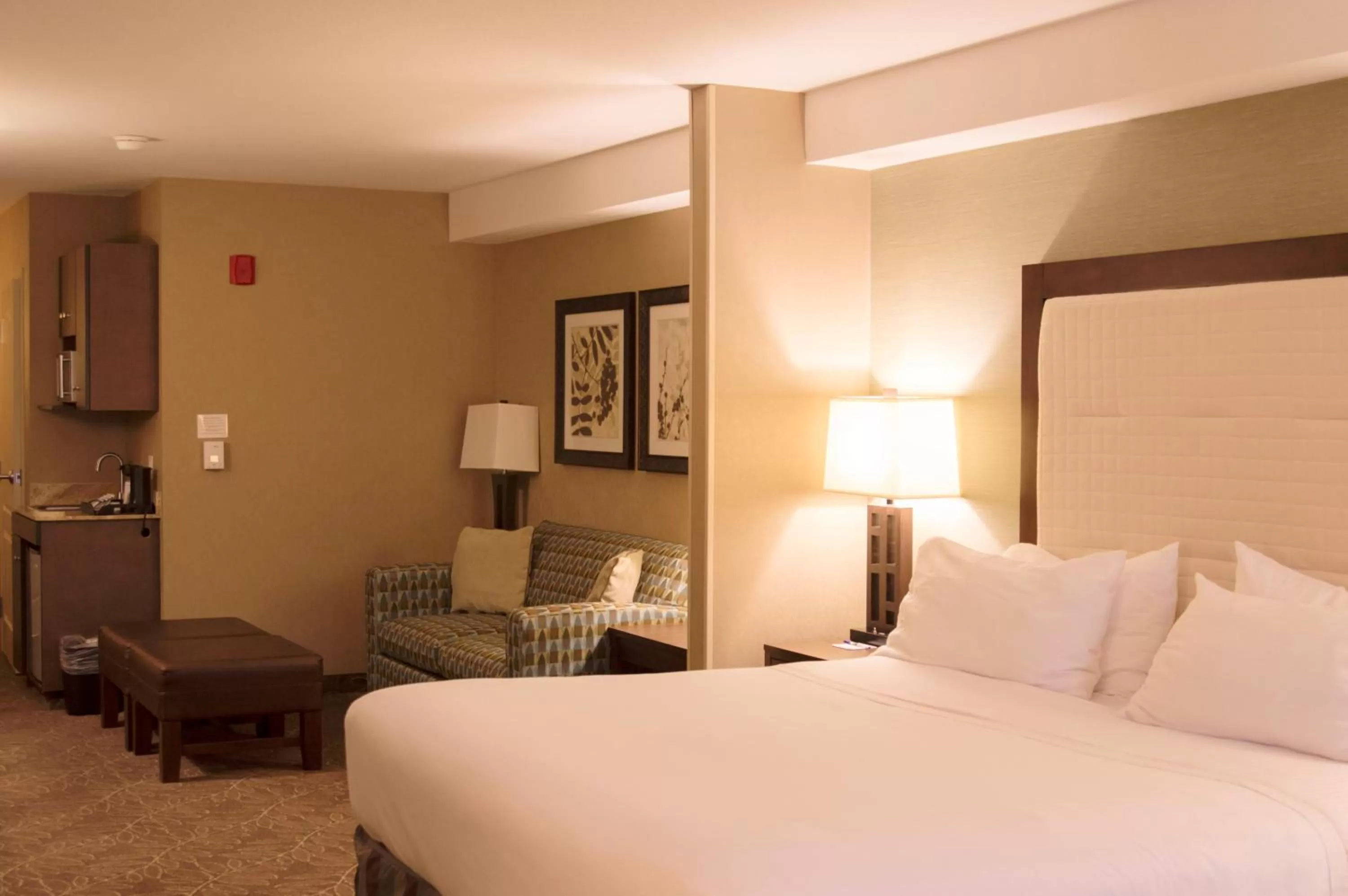 Suite - Hearing Accessible - Non-Smoking in Holiday Inn Express & Suites Logan by IHG