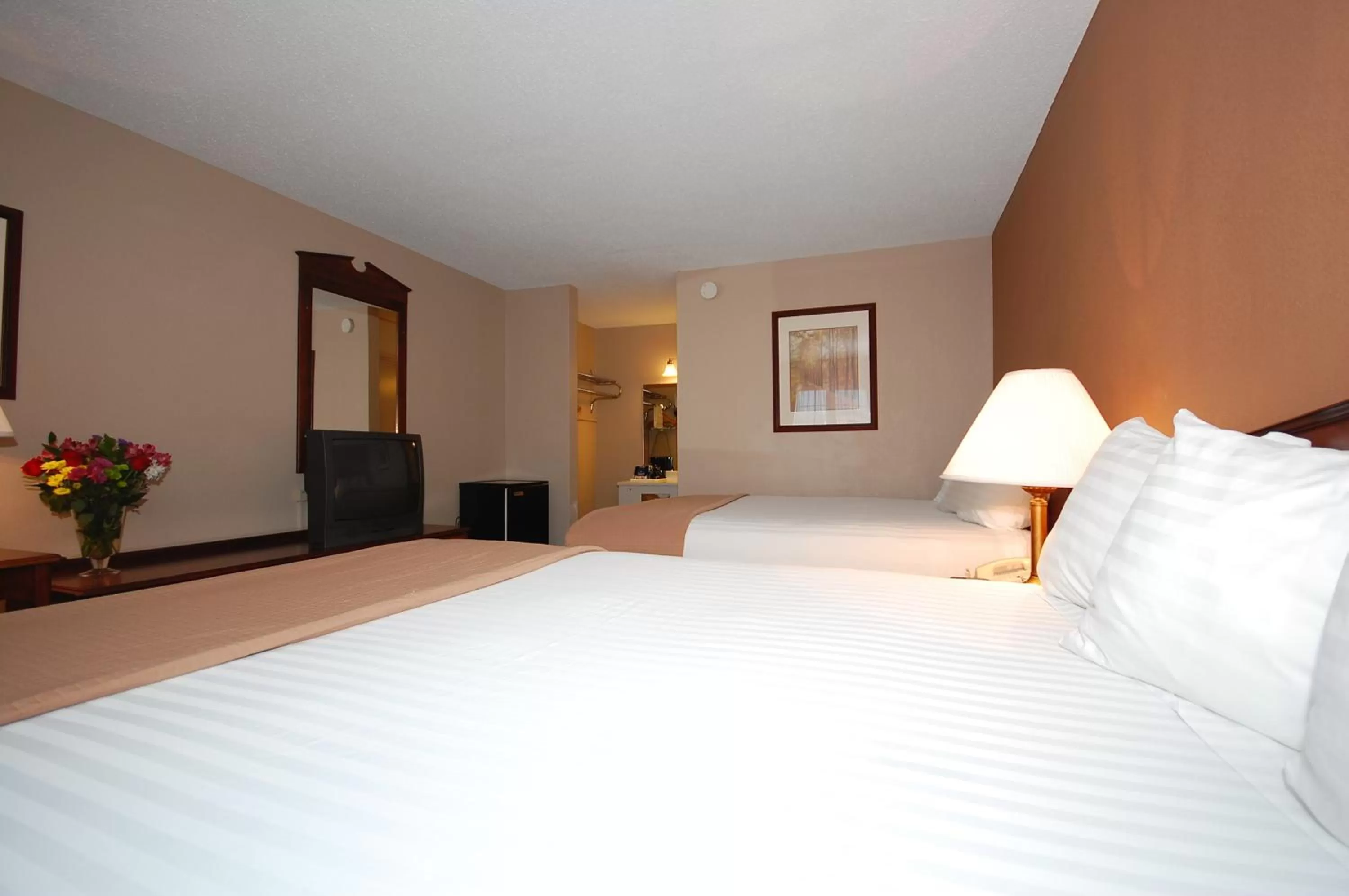 Queen Room in Magnuson Hotel Red Baron