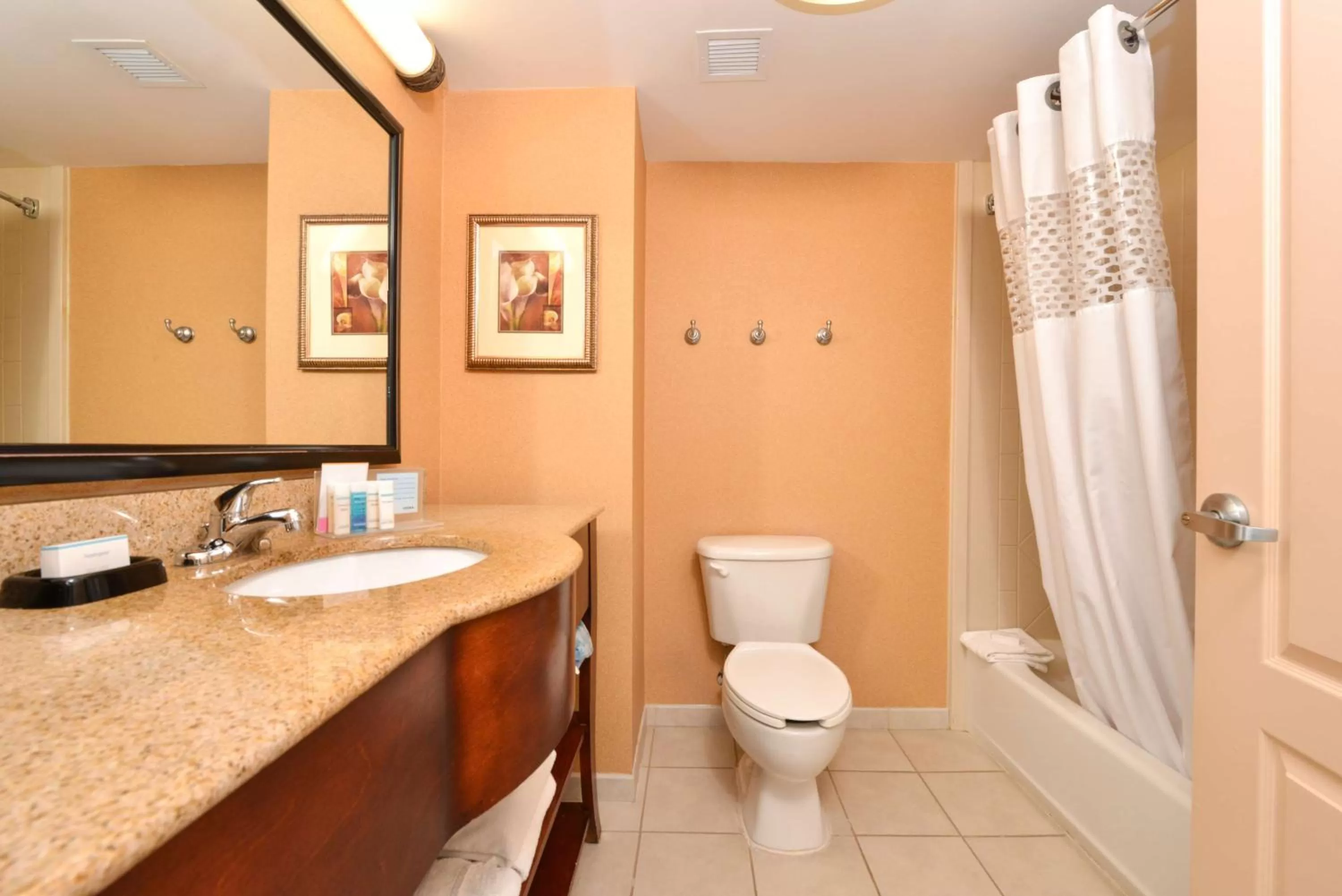 Double Room with Two Double Beds - Non-Smoking in Hampton Inn and Suites Fredericksburg South