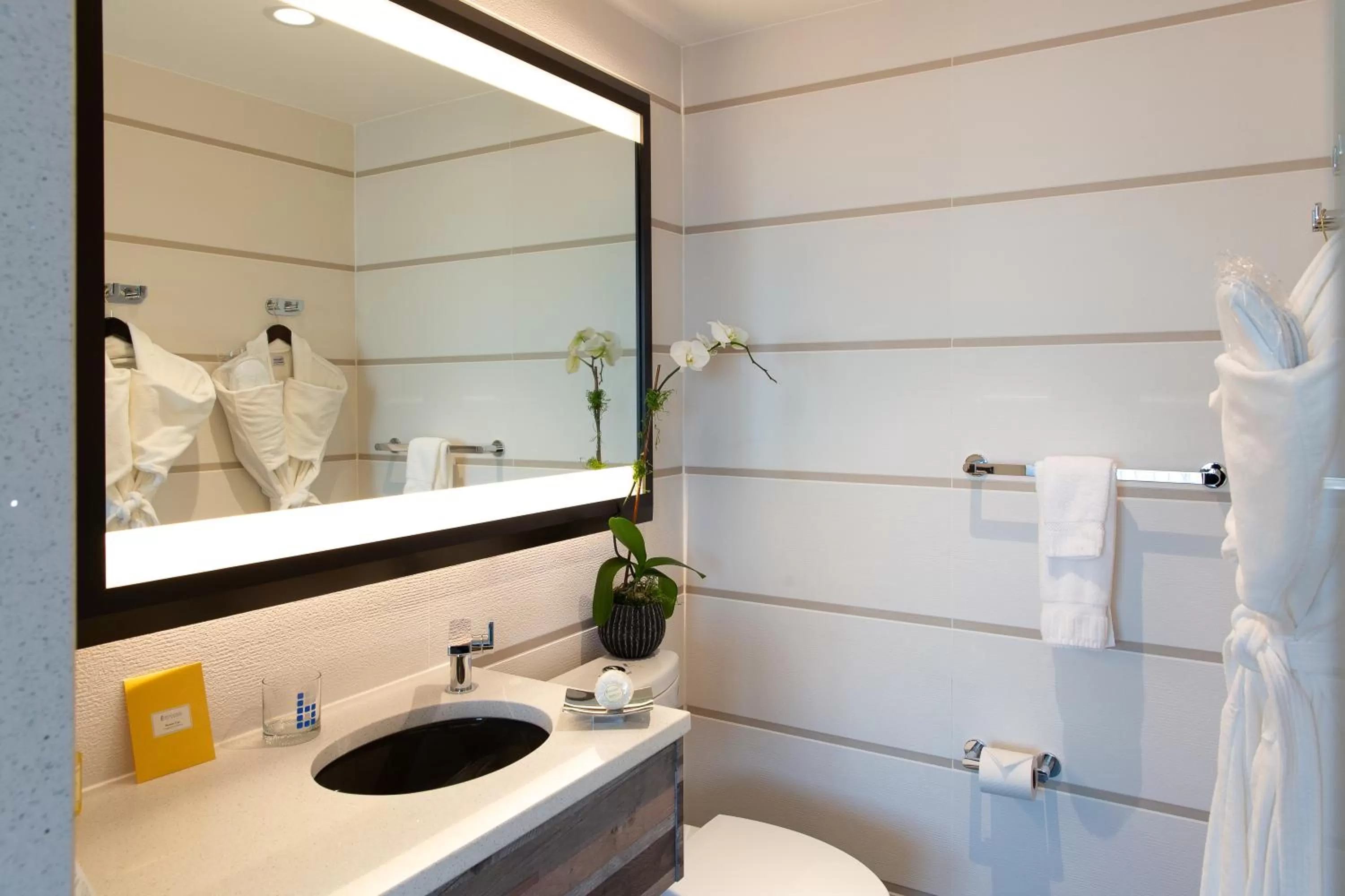 Signature Collection 2 Double Beds in Hotel Le Bleu