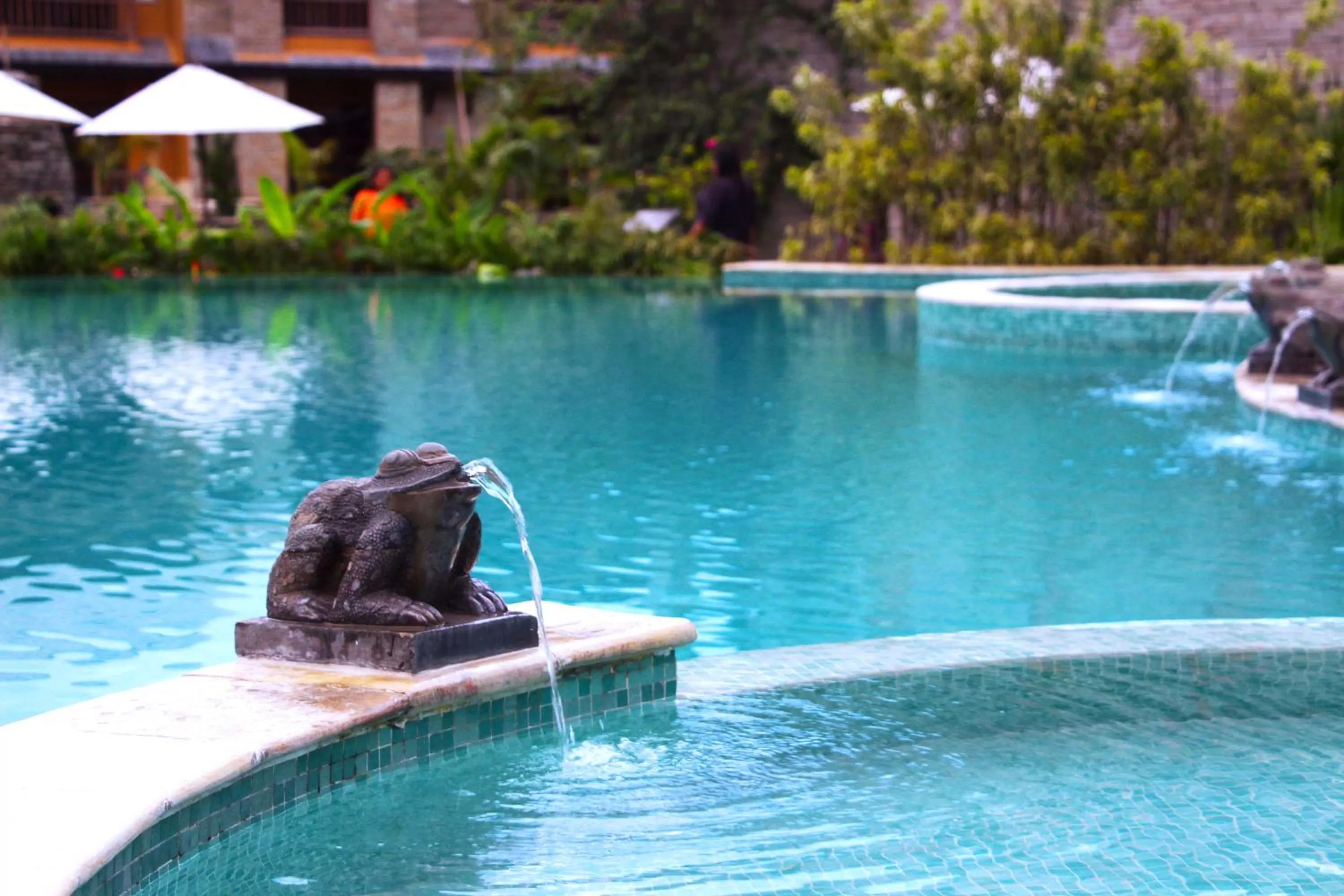 Swimming pool in Temple Tree Resort & Spa, Pokhara