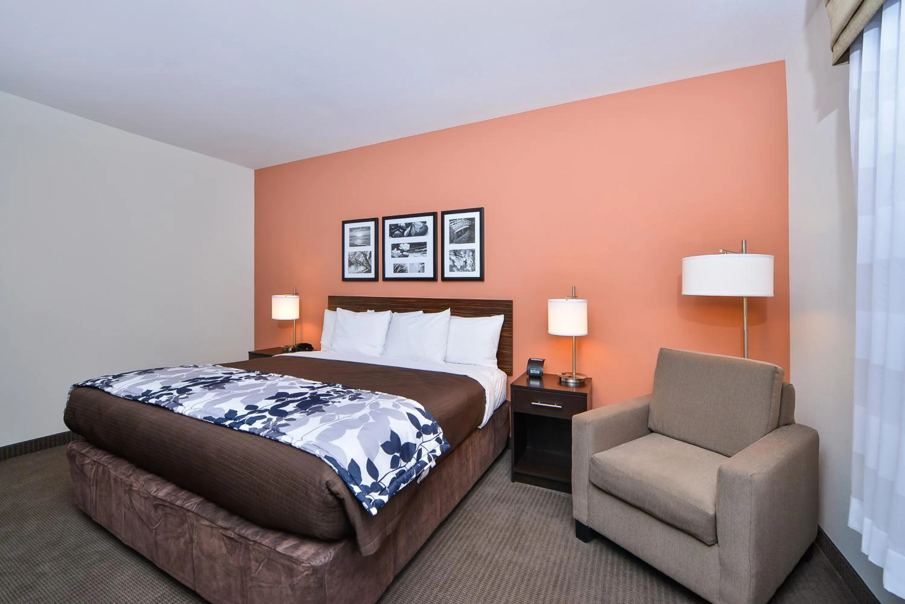 King Suite - Accessible/Non-Smoking in Sleep Inn & Suites Austin – Tech Center
