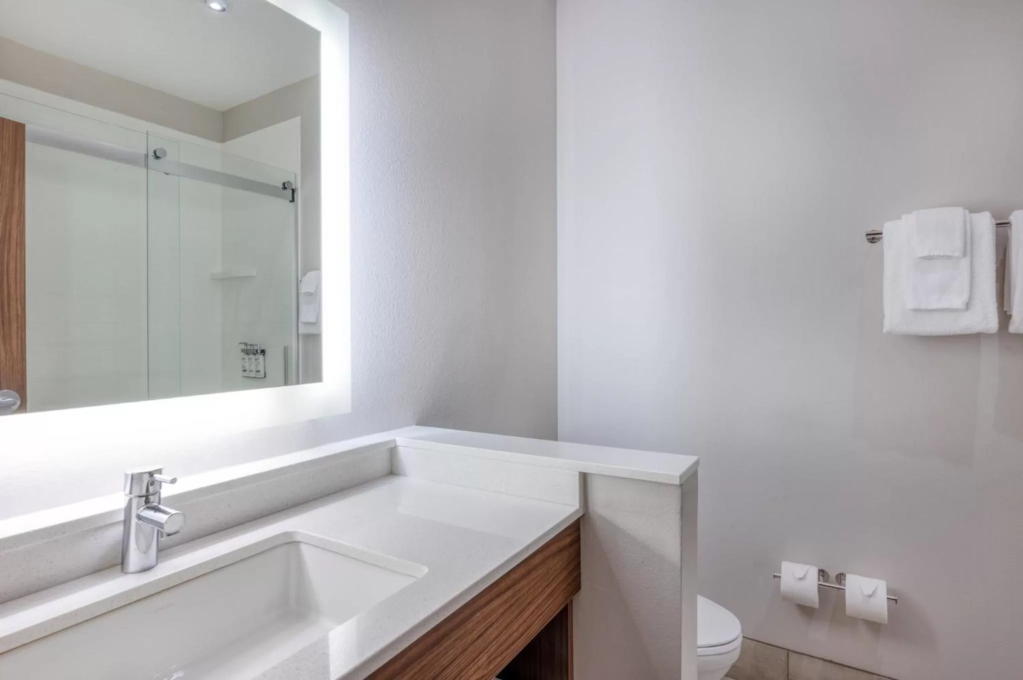 Deluxe Suite - Hearing Accessible - Non-Smoking in Holiday Inn Express Troy, an IHG Hotel