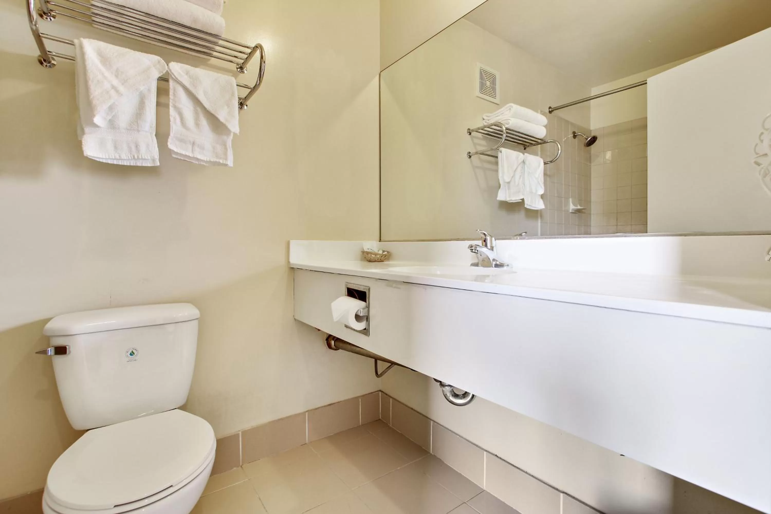 Economy Double Room in Rotex Western Inn