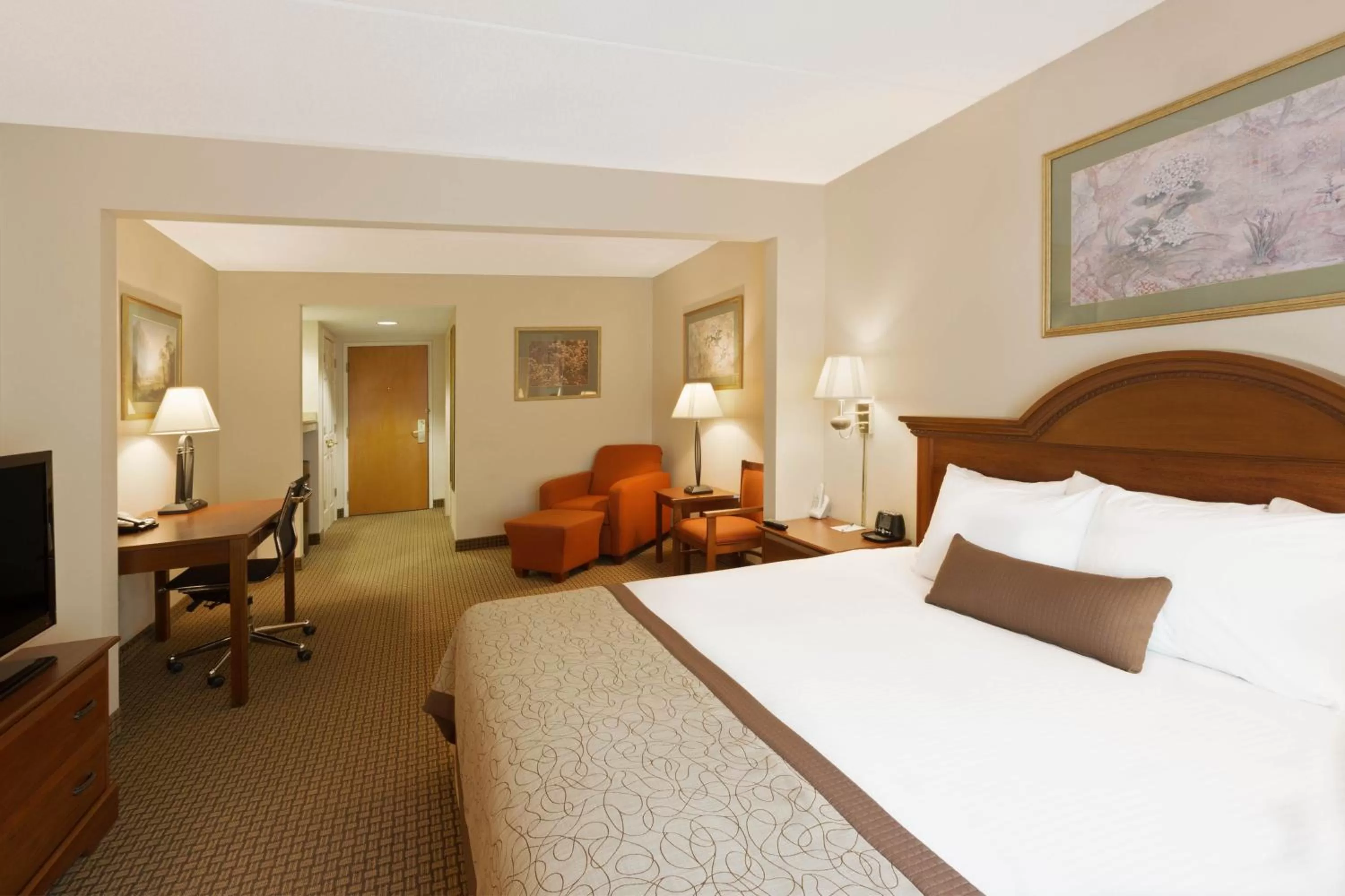 King Room - Disability Access - Non-Smoking in Wingate by Wyndham Charlotte Airport