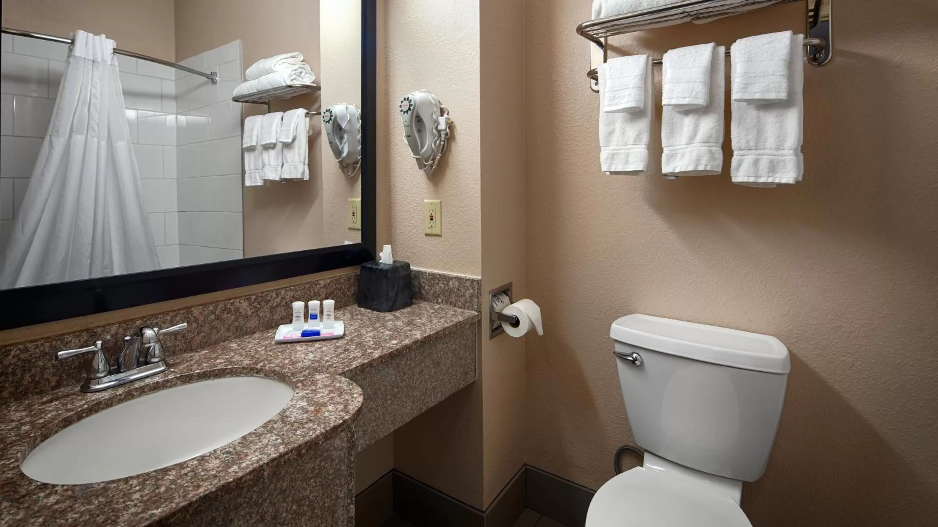 Queen Room - Non Smoking in Best Western Plus Kalamazoo Suites