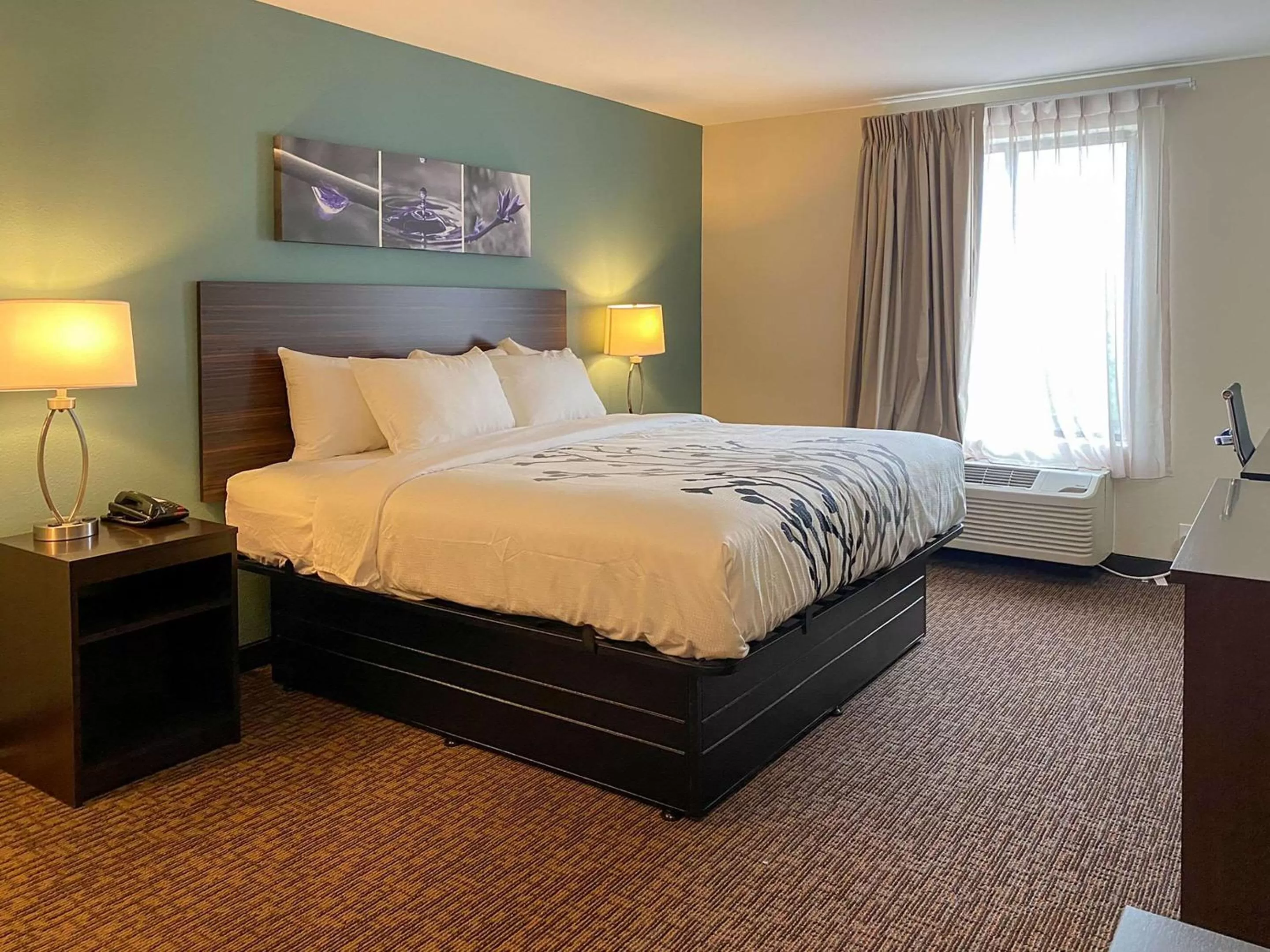 King Room with Tub - Disability Access/Non Smoking in Sleep Inn Greensboro - Coliseum Area