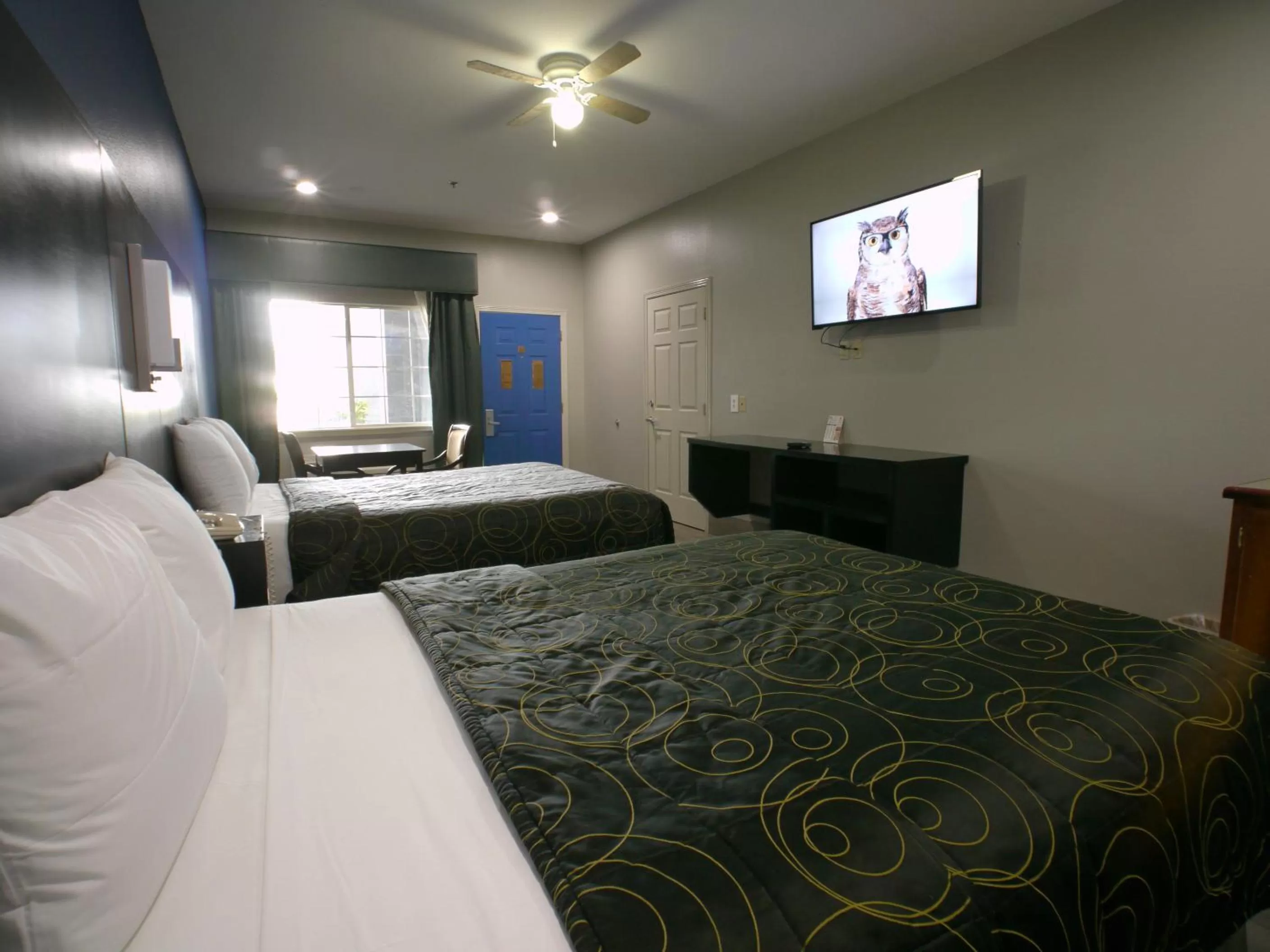 Queen Room with Two Queen Beds - Non-Smoking in Texas Inn Alamo