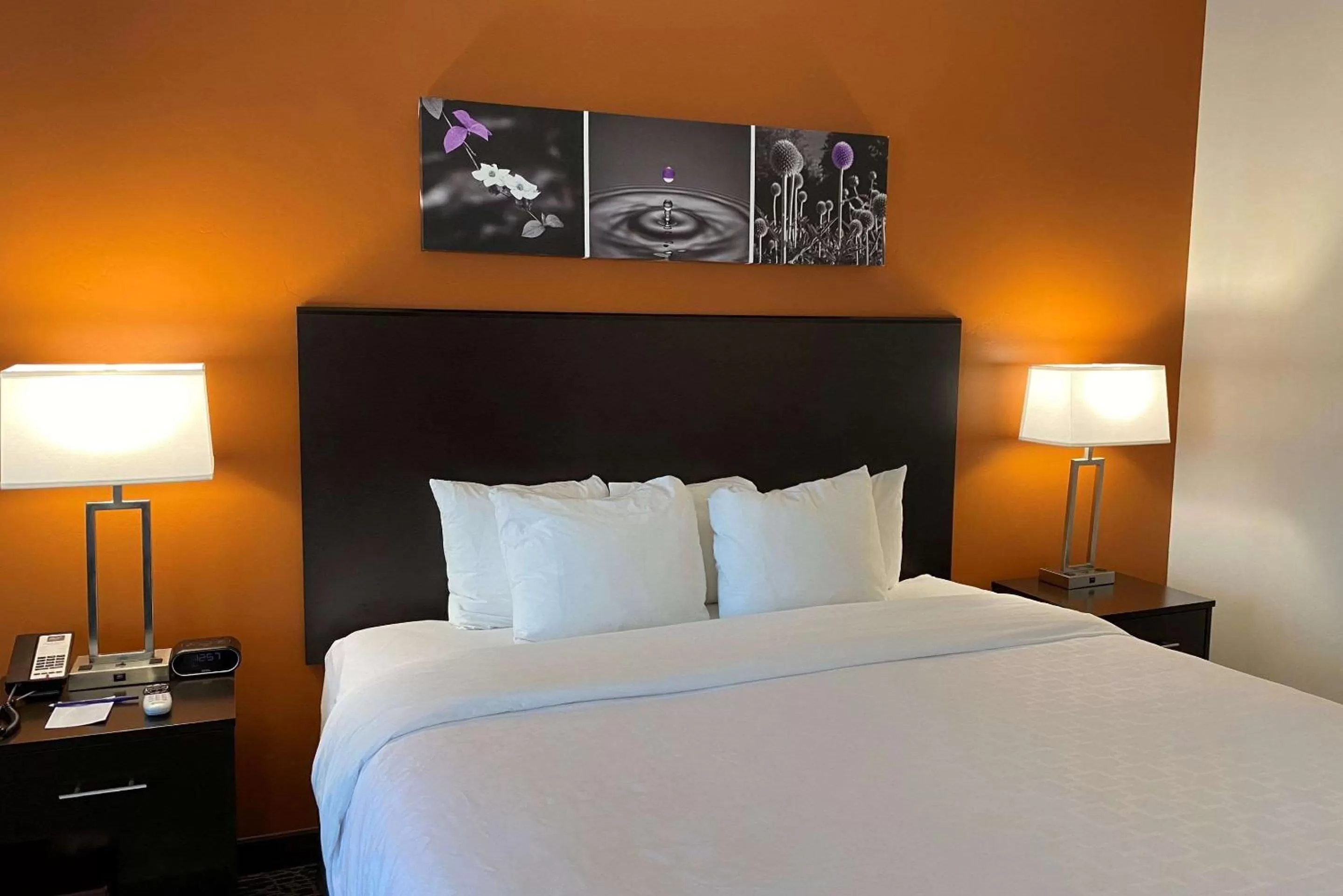 King Room - Non-Smoking in Sleep Inn & Suites Hurricane Zion Park Area