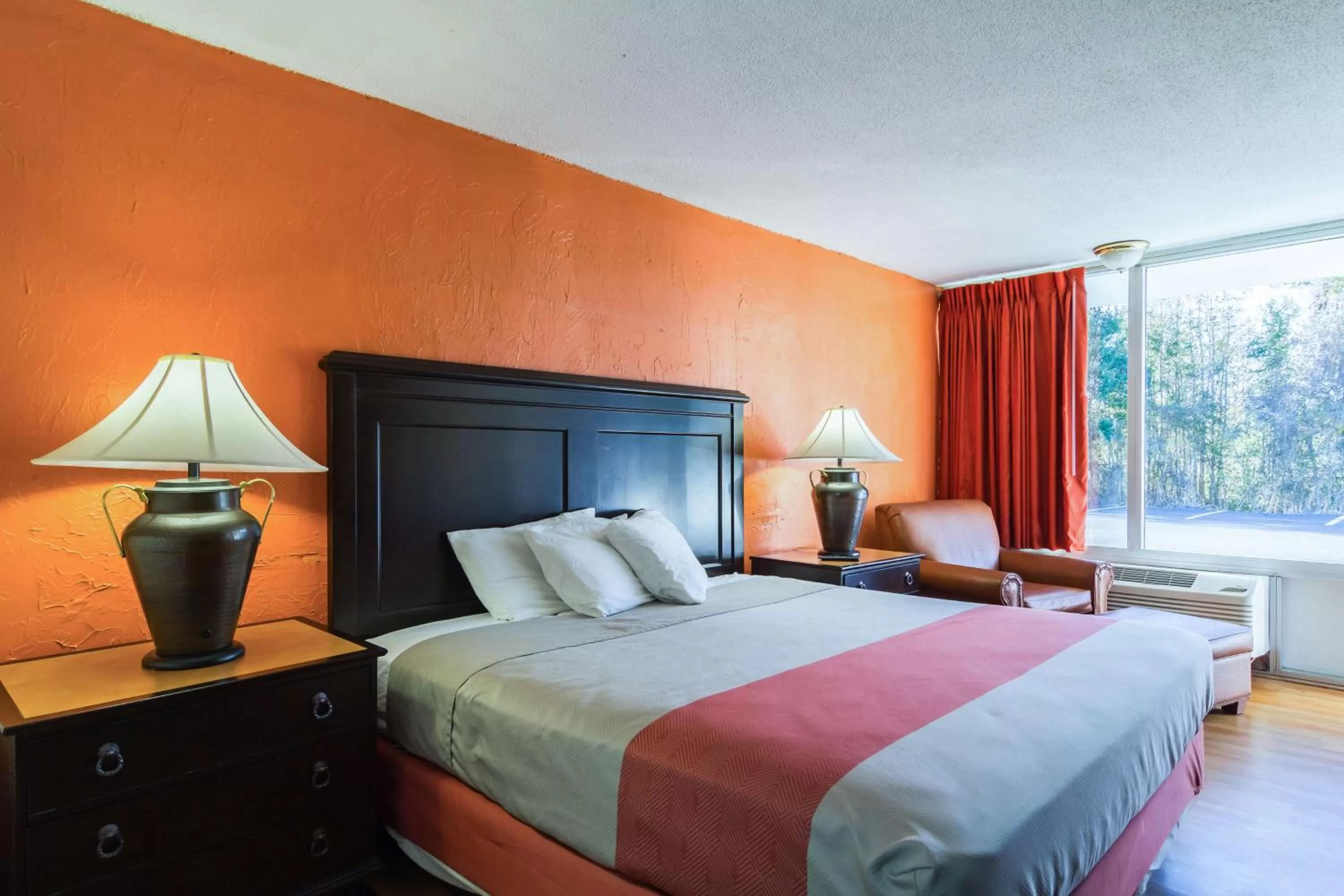 King Room - Non-Smoking in Motel 6-Townsend, GA