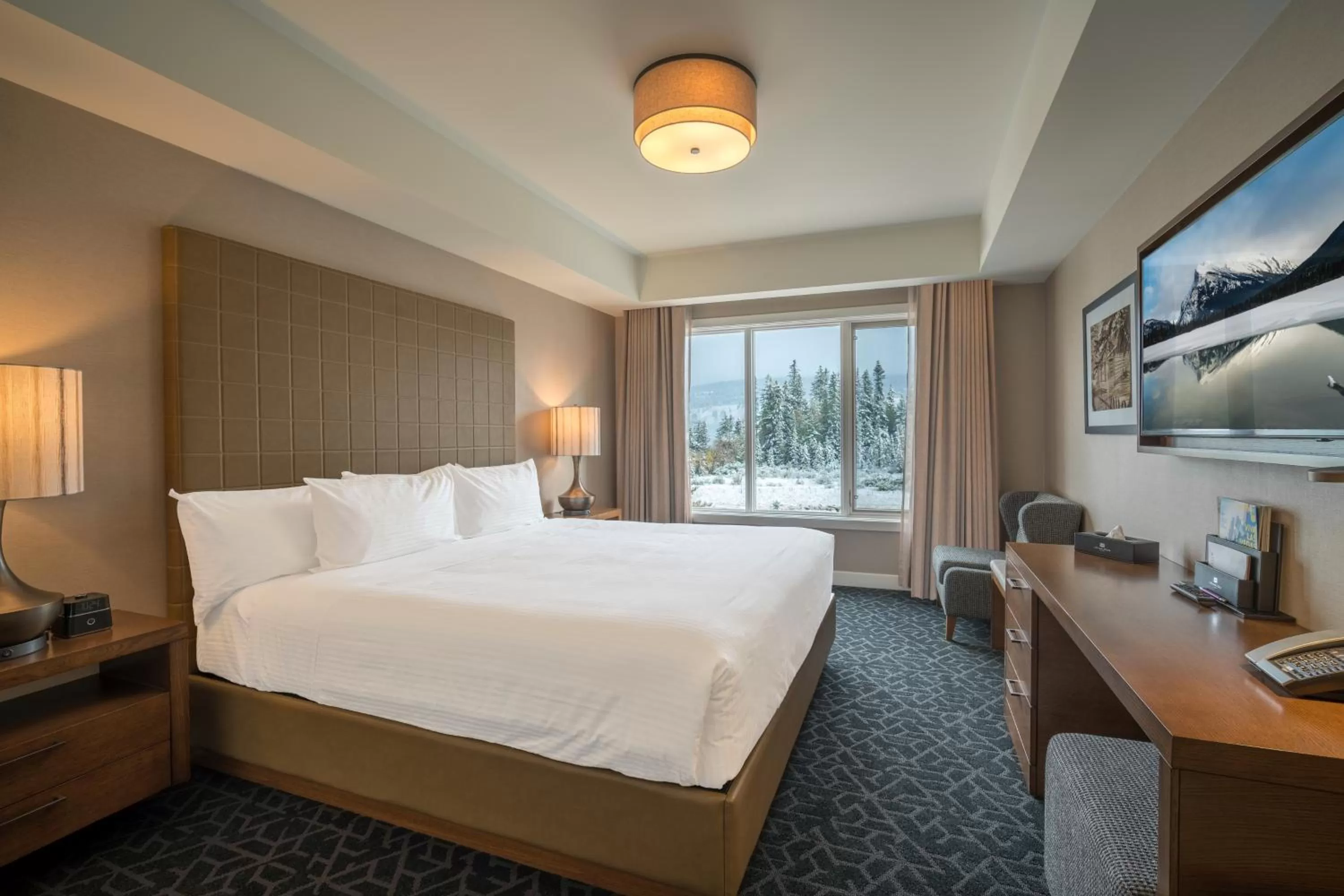 Standard King Room in The Malcolm Hotel