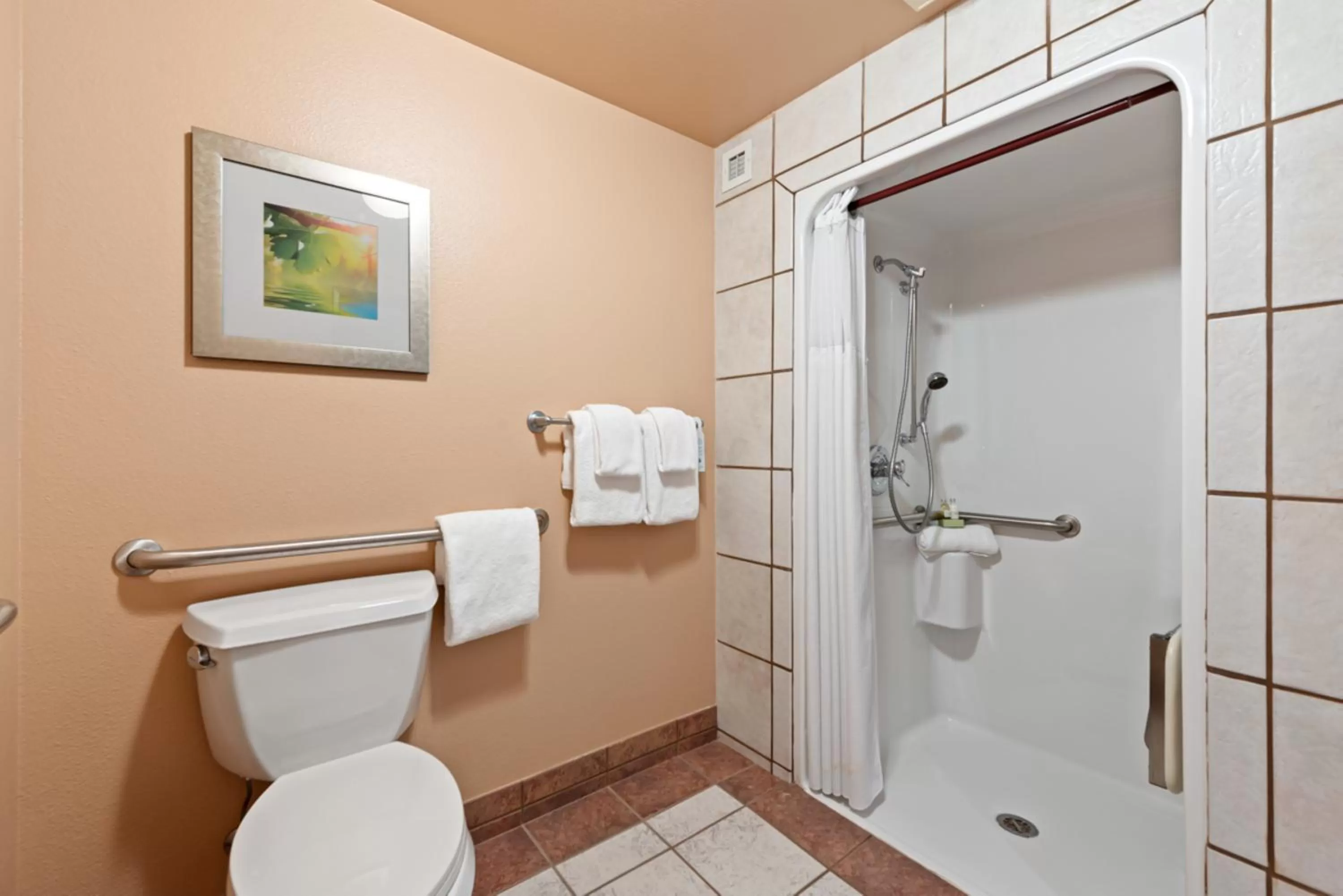 King Room with No View - Disability Access/Ground Floor in The Estes Park Resort