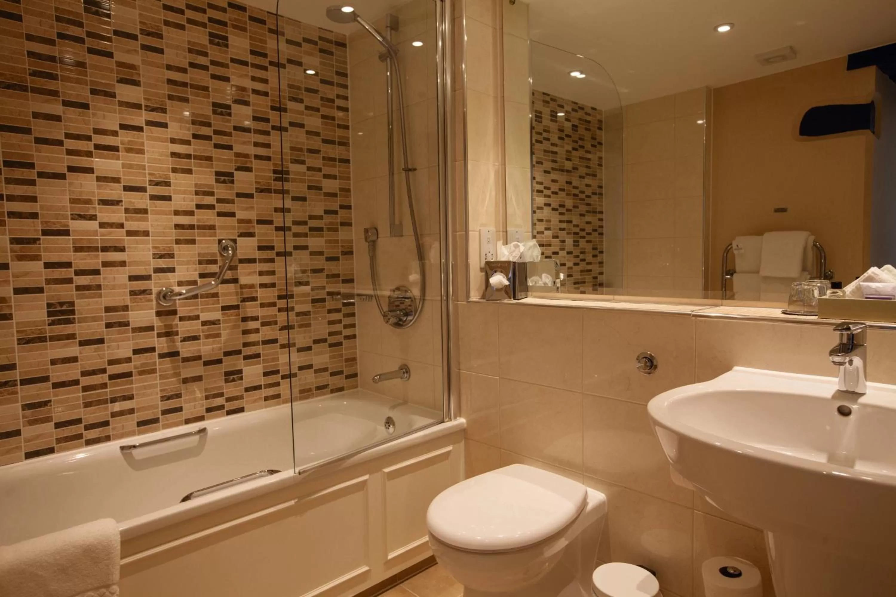 Deluxe Double Room in Macdonald Bear Hotel