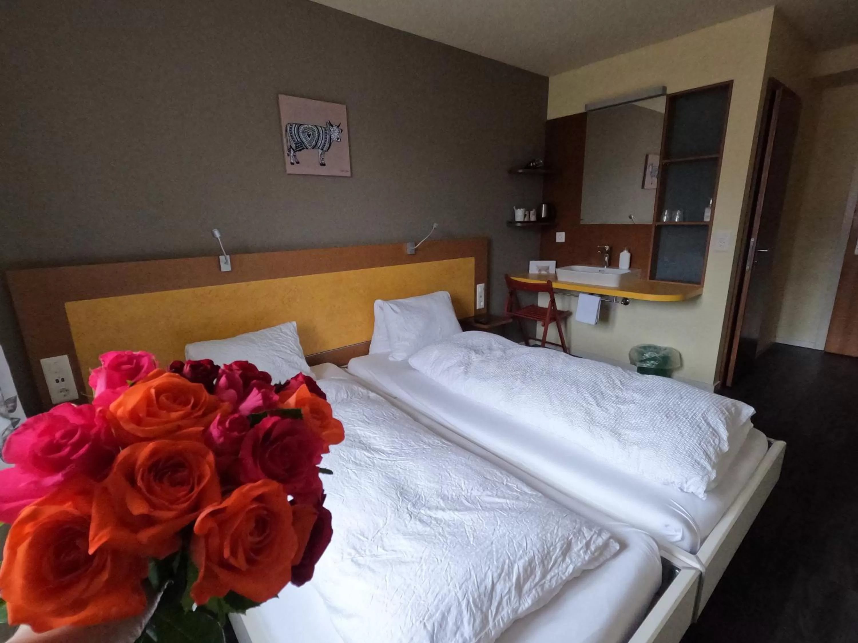 Twin Room with Balcony in Alpenrose Hotel and Gardens