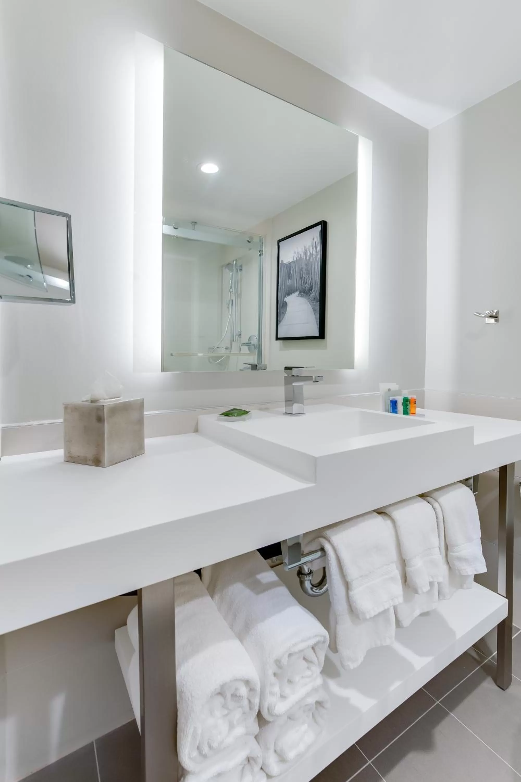 One-Bedroom King Suite with Sofa Bed - Non-Smoking in Radisson Hotel Seattle Airport