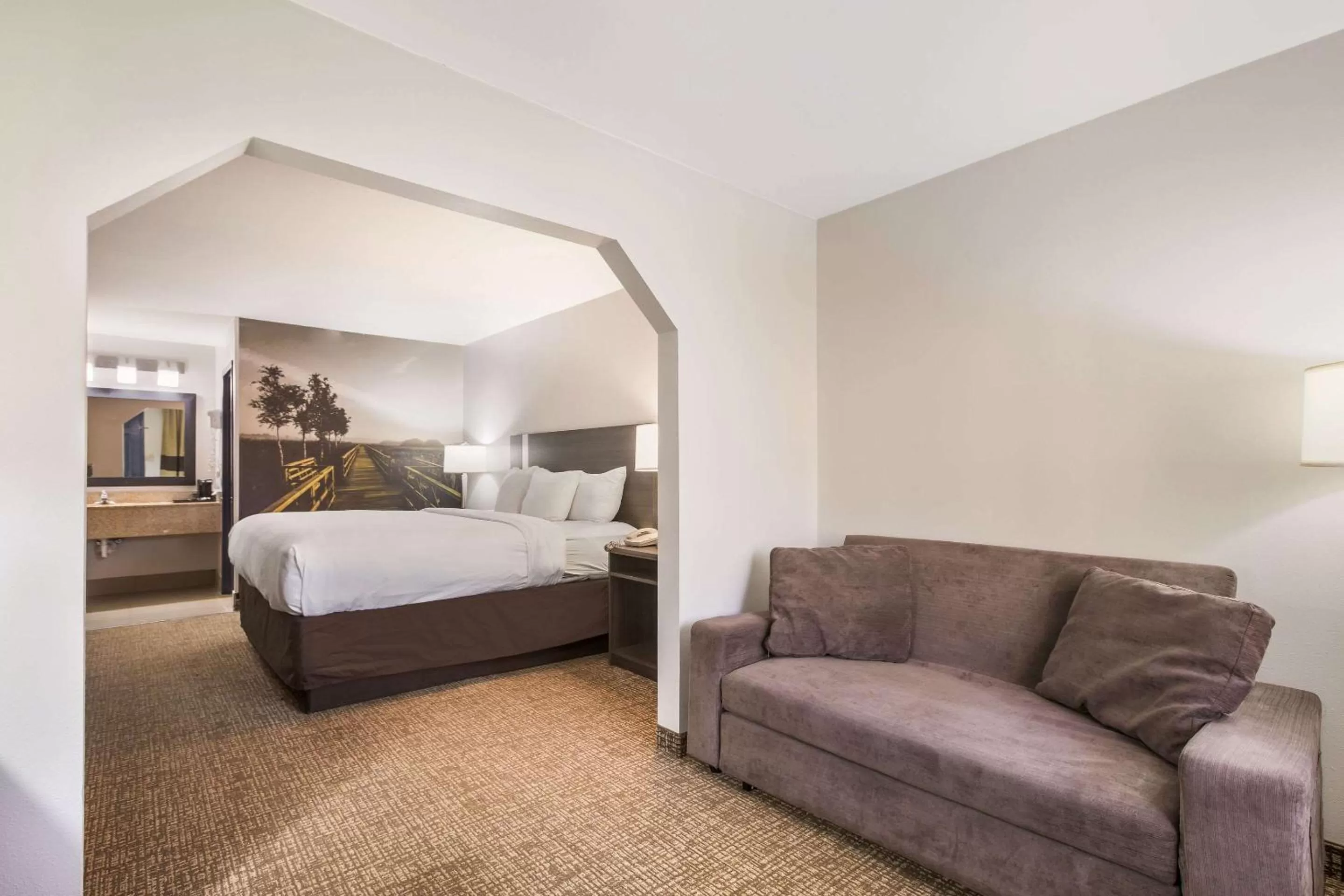 King Suite - Non-Smoking in Clarion Pointe Forsyth I-75