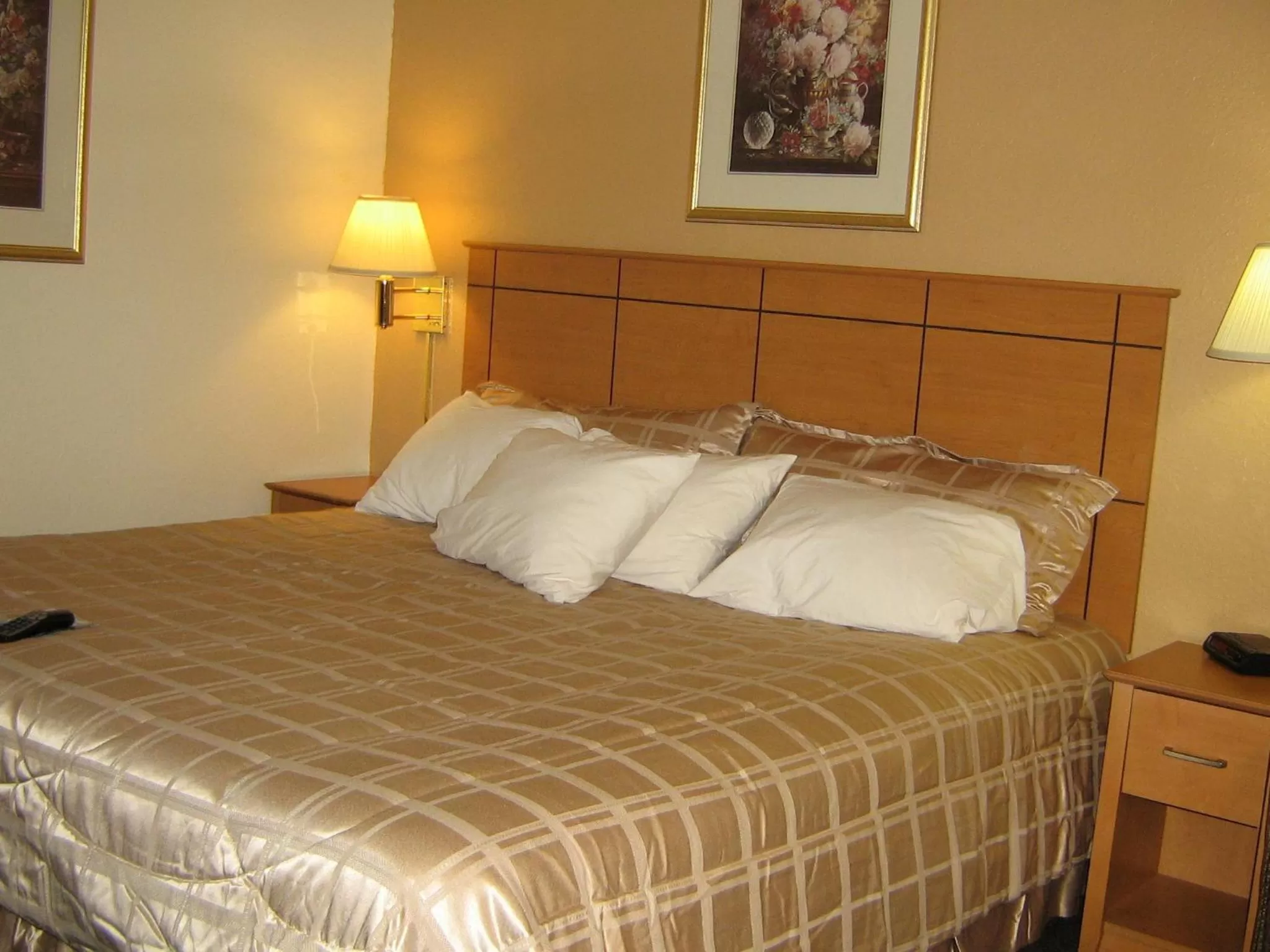 One King Bed Non-Smoking in Americas Best Value Inn and Suites St. Cloud