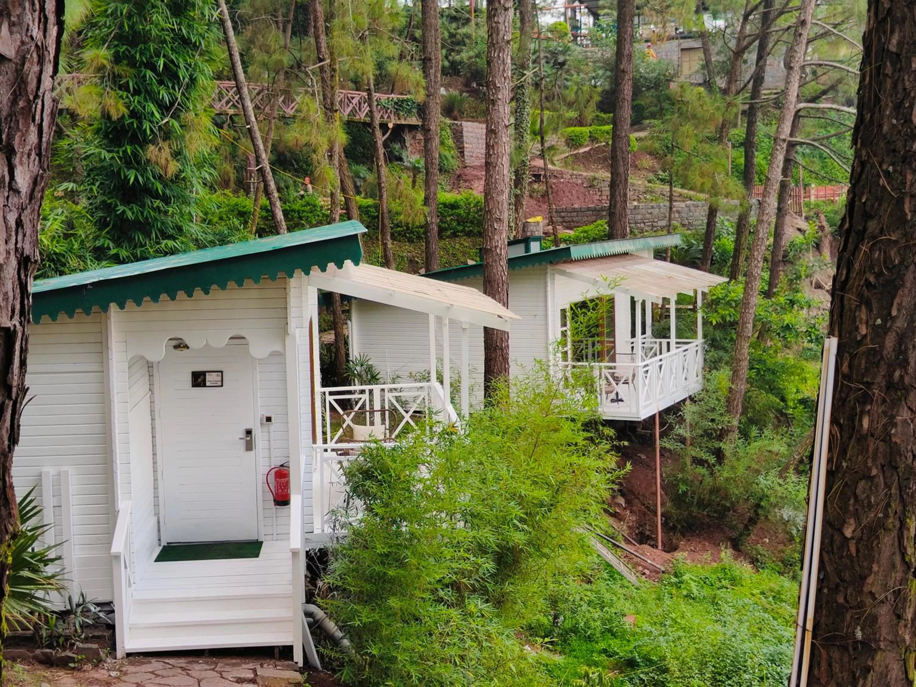 Kasauli Hills Resort