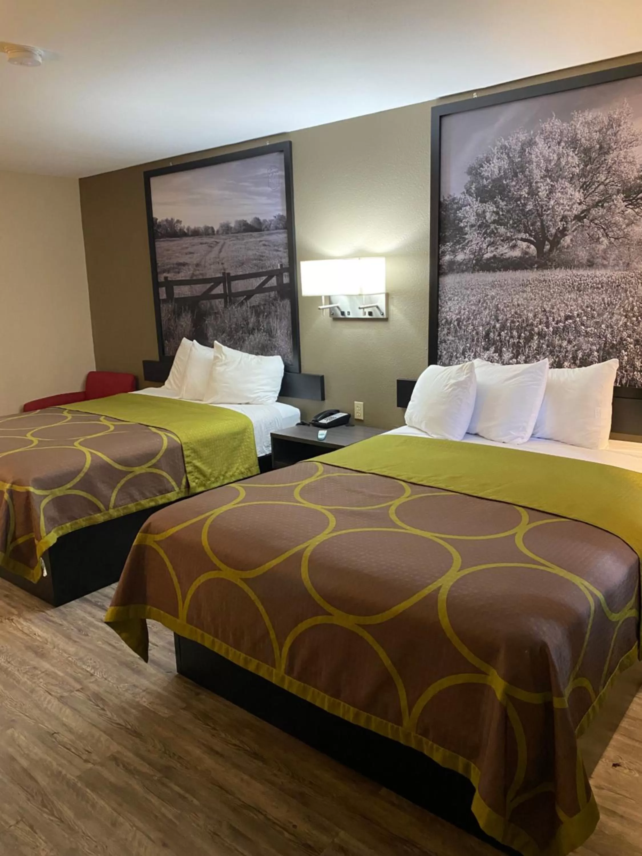 Queen Room with Two Queen Beds and Roll-In Shower - Mobility Accessible/Non-Smoking in Super 8 by Wyndham Terrell