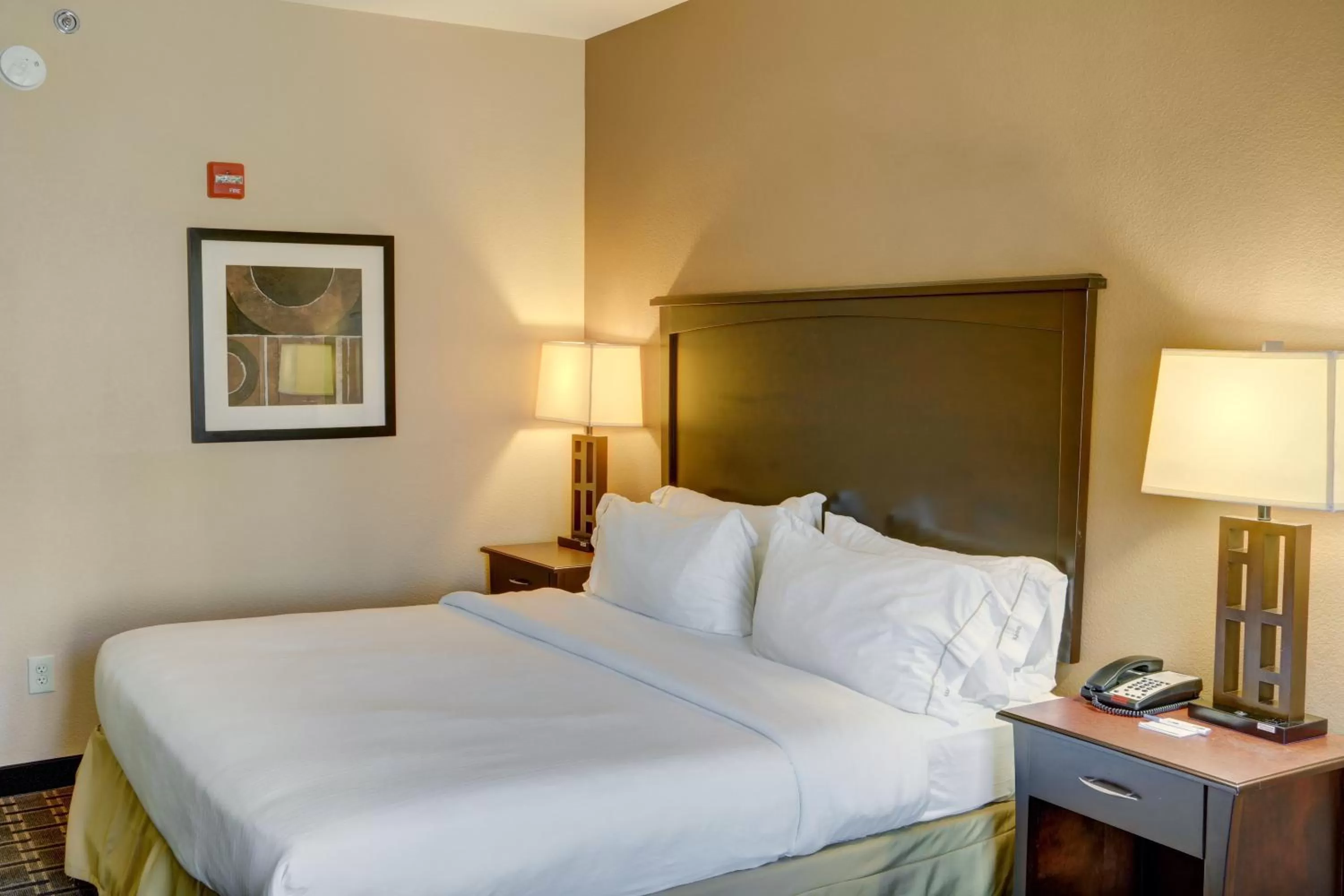 Standard Room in Holiday Inn Express Hotel & Suites Texarkana East by IHG