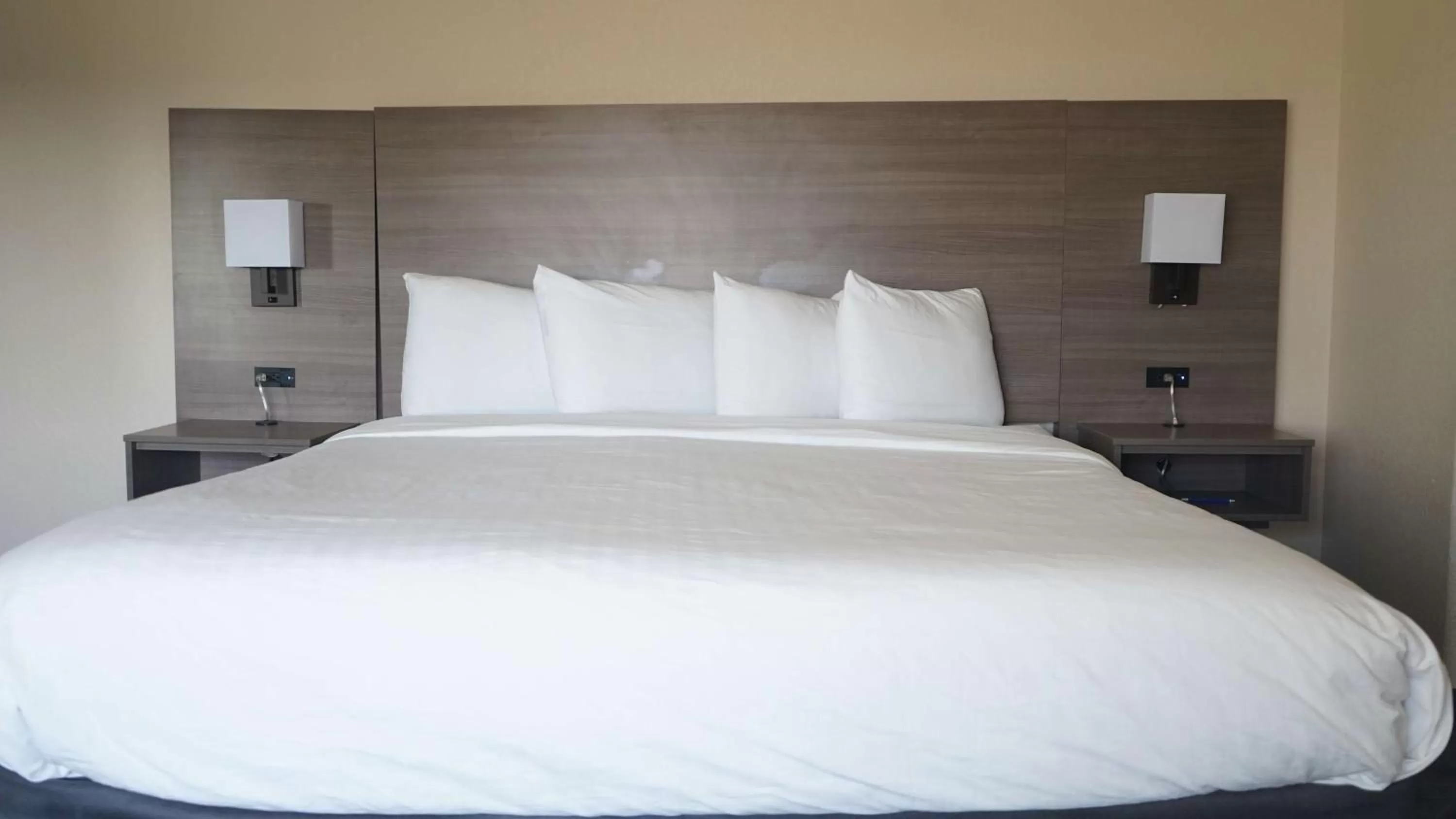 King Suite with Roll-In Shower and Sofa Bed - Disability Access/Non-Smoking in Best Western Lubbock West Inn & Suites