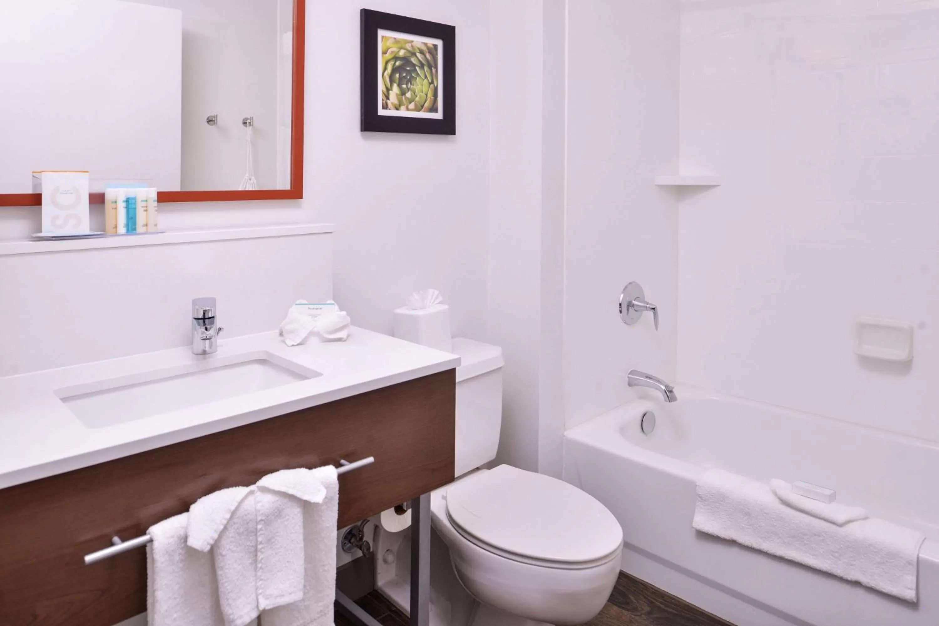 King Room with Tub - Mobility Access/Non-Smoking in Hampton Inn Albuquerque - University/Midtown