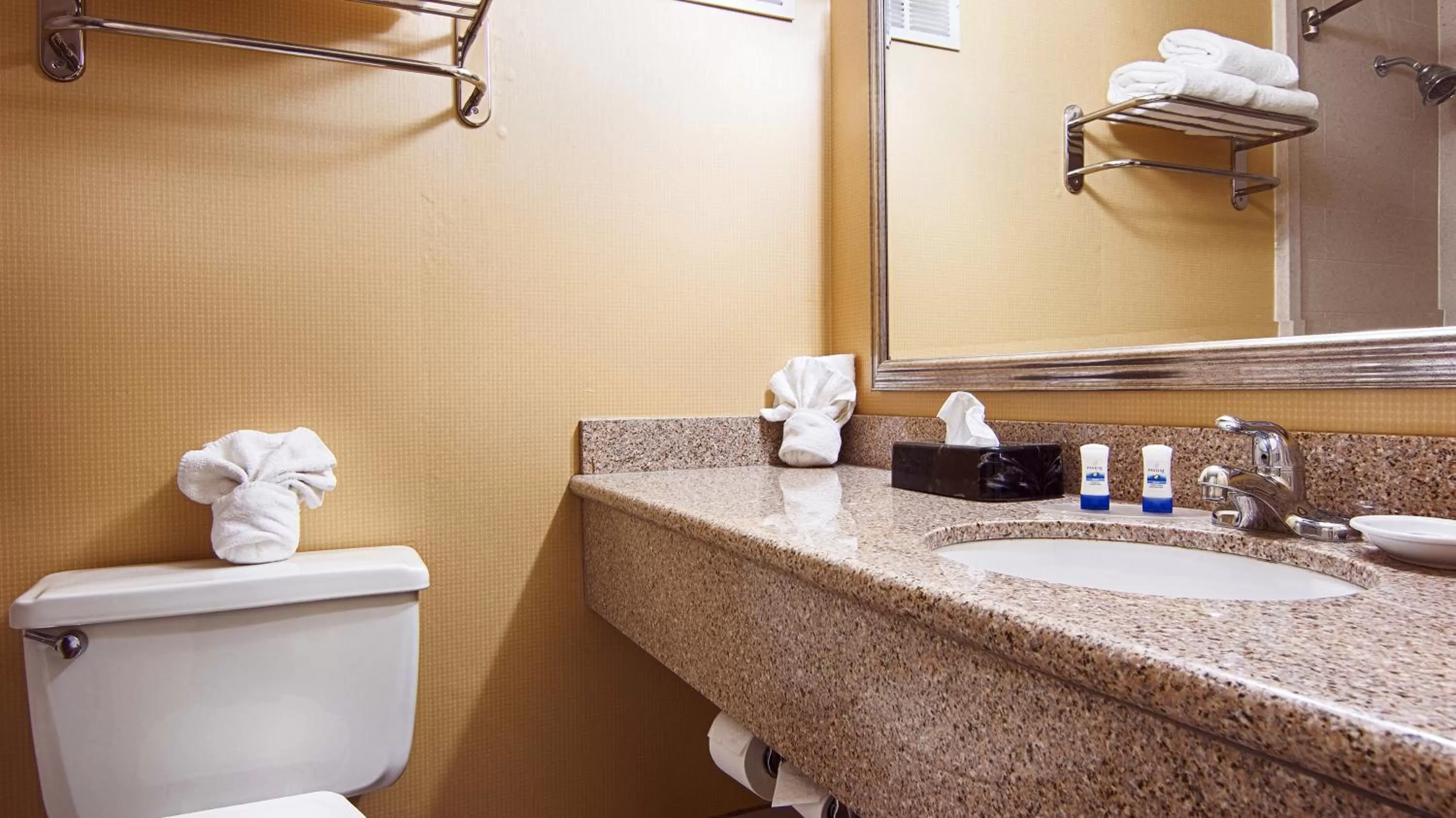 King Room - Accessible/Non Smoking in Quality Inn & Suites East Syracuse - Carrier Circle