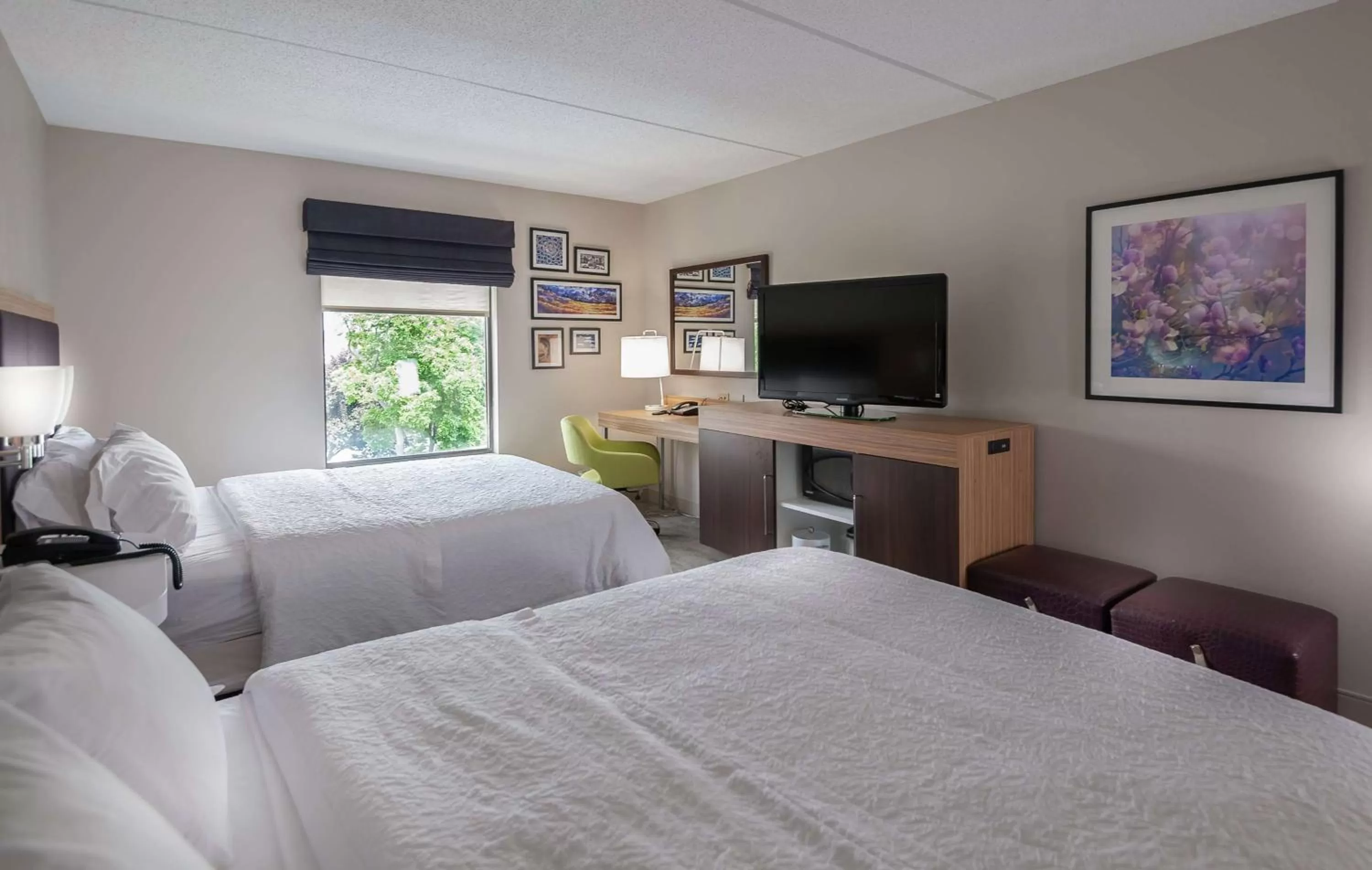 Queen Room with Two Queen Beds - Mobility Accessible in Hampton Inn Doylestown
